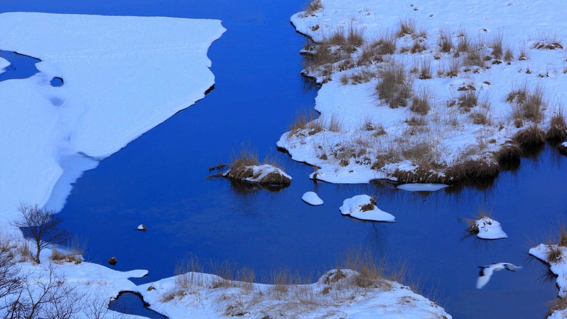 Descarga gratis la imagen Invierno, Tierra/naturaleza en el escritorio de tu PC