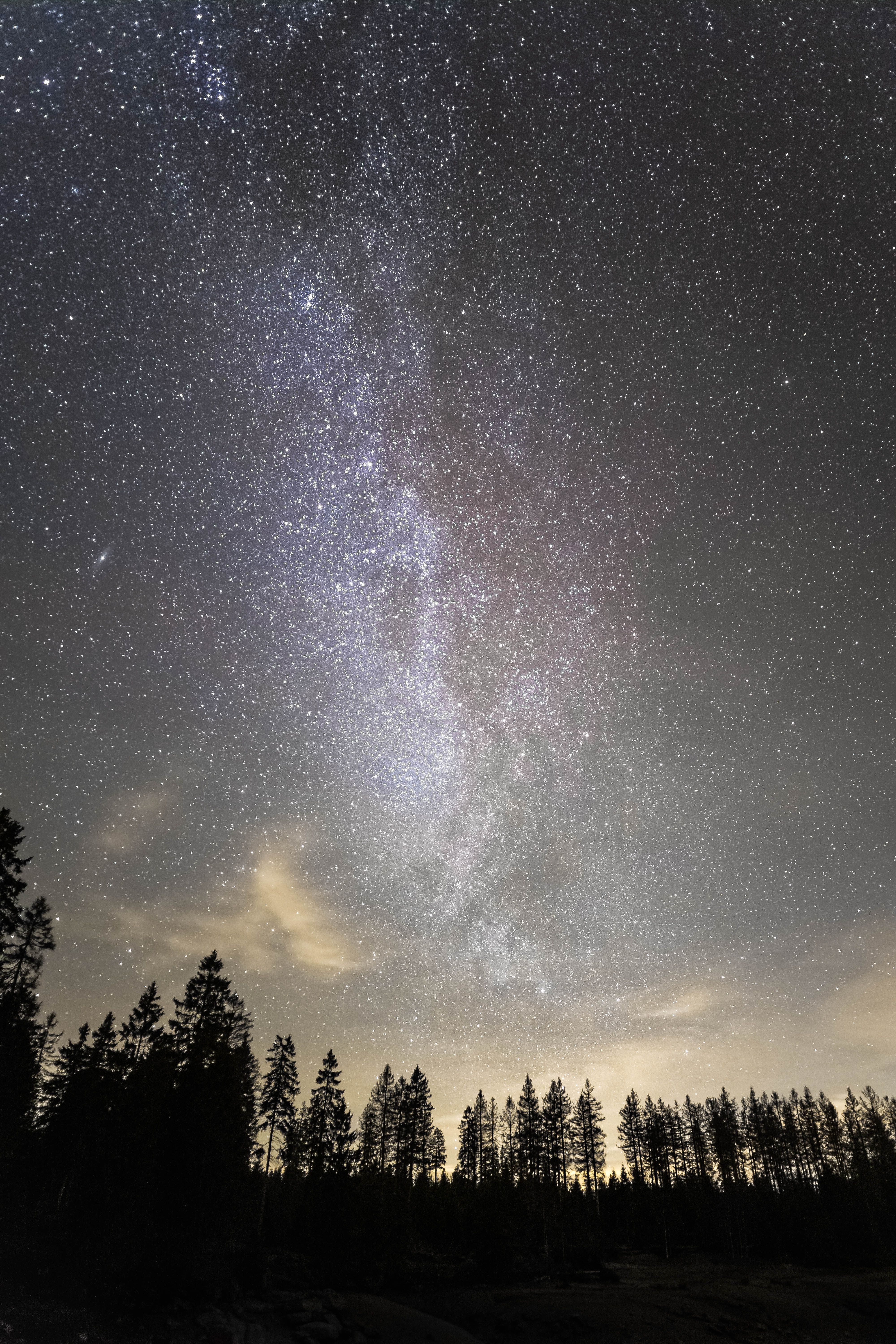 Free download wallpaper Nature, Trees, Stars, Starry Sky, Night, Milky Way on your PC desktop