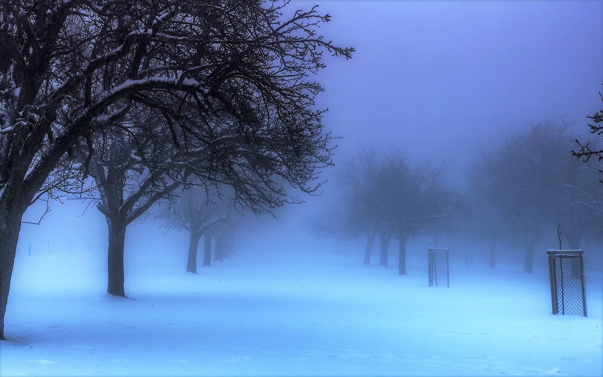 PCデスクトップに冬, 木, 雪, 道, 霧, 写真撮影画像を無料でダウンロード