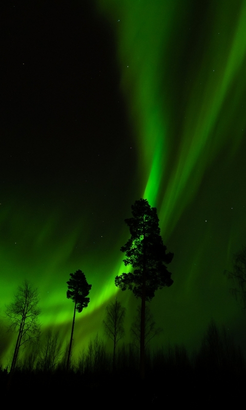 1206324 fond d'écran 480x996 sur votre téléphone gratuitement, téléchargez des images  480x996 sur votre mobile