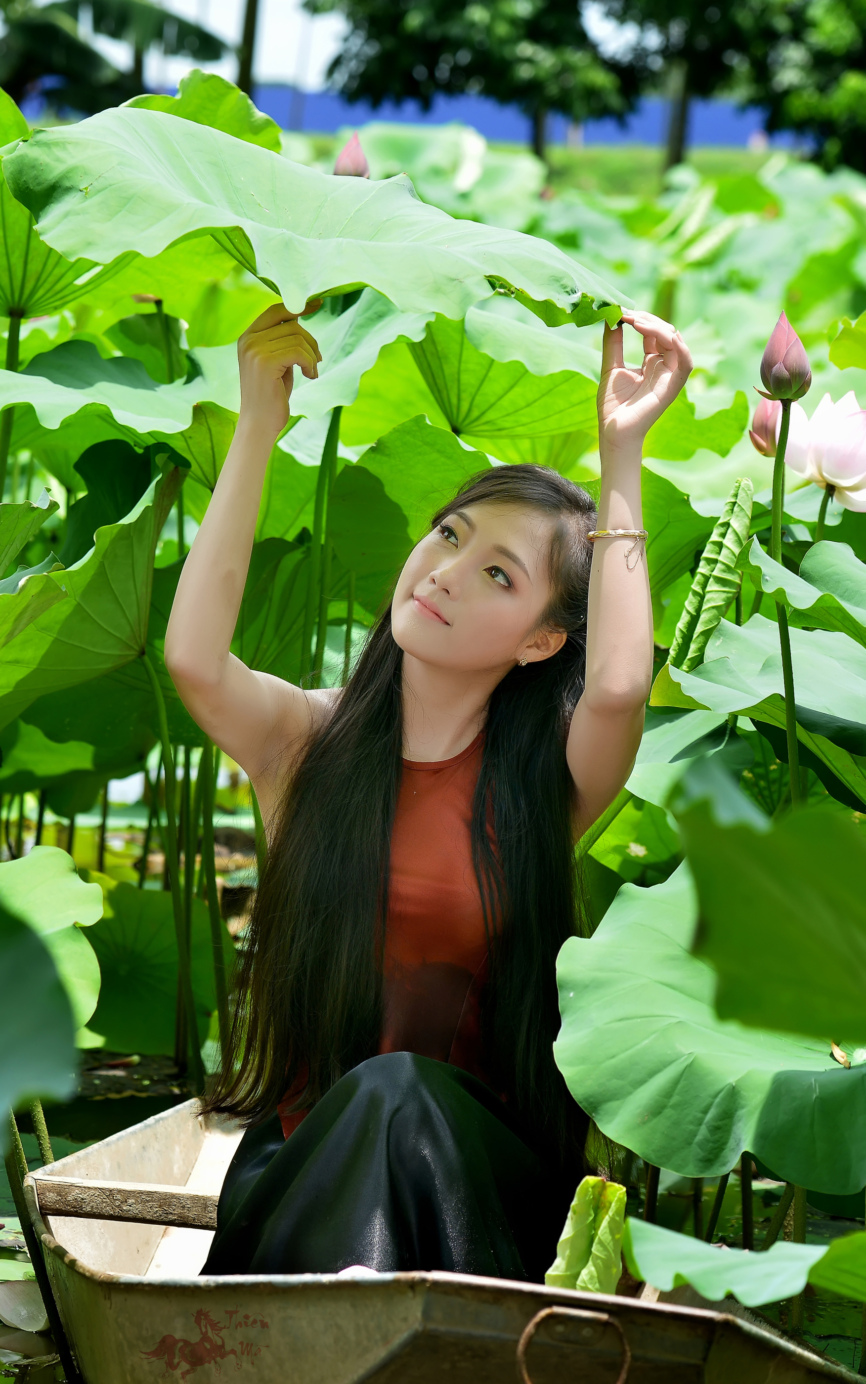 Download mobile wallpaper Lotus, Leaf, Women, Asian, Vietnamese for free.