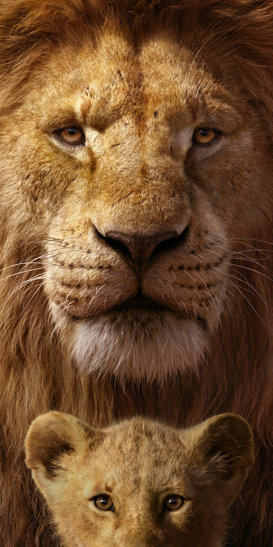 1347168 завантажити шпалери фільм, король лев (2019), сімба, муфаса (король лев) - заставки і картинки безкоштовно