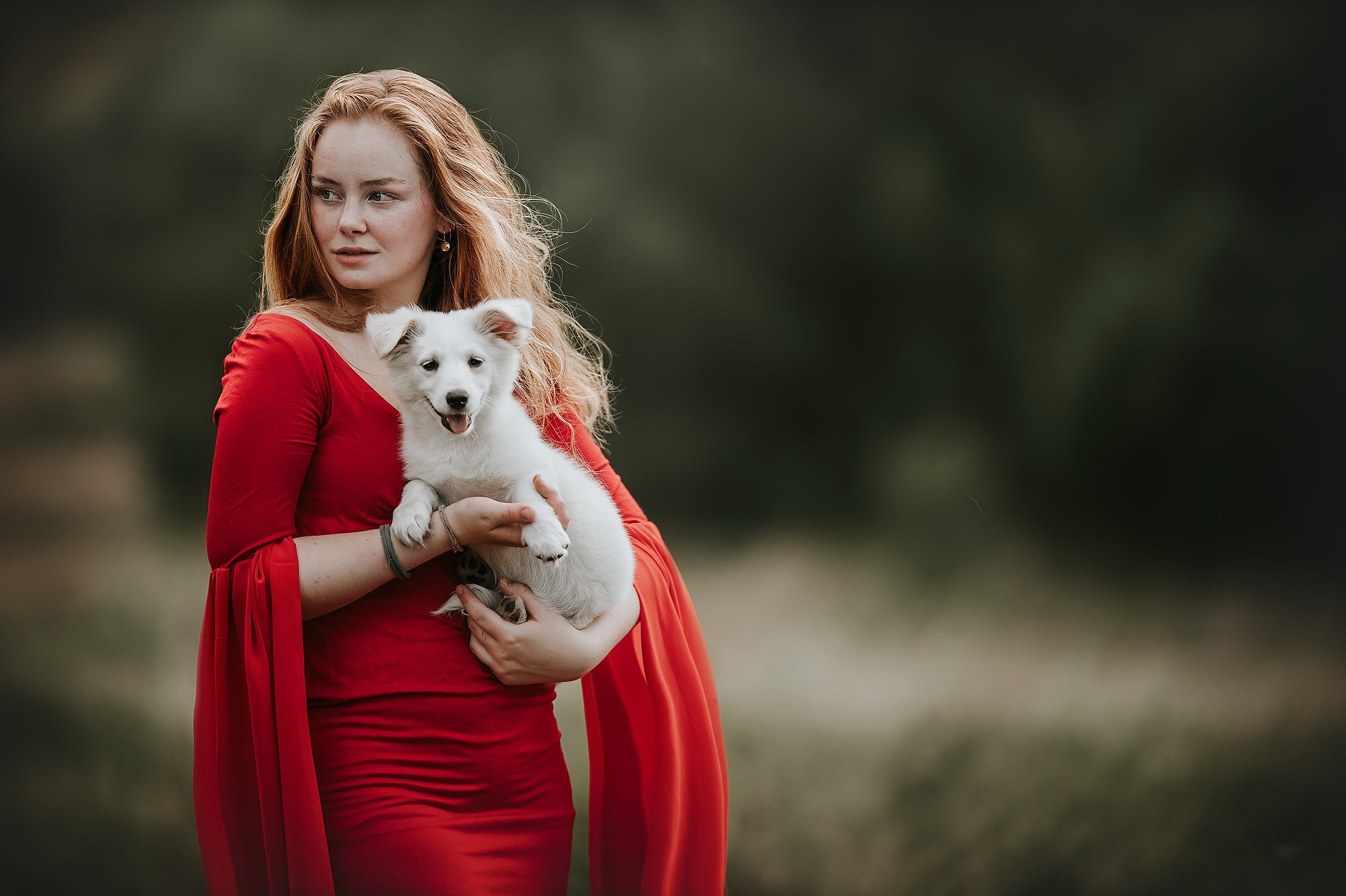 Download mobile wallpaper Dog, Redhead, Puppy, Model, Women, Baby Animal, Red Dress for free.