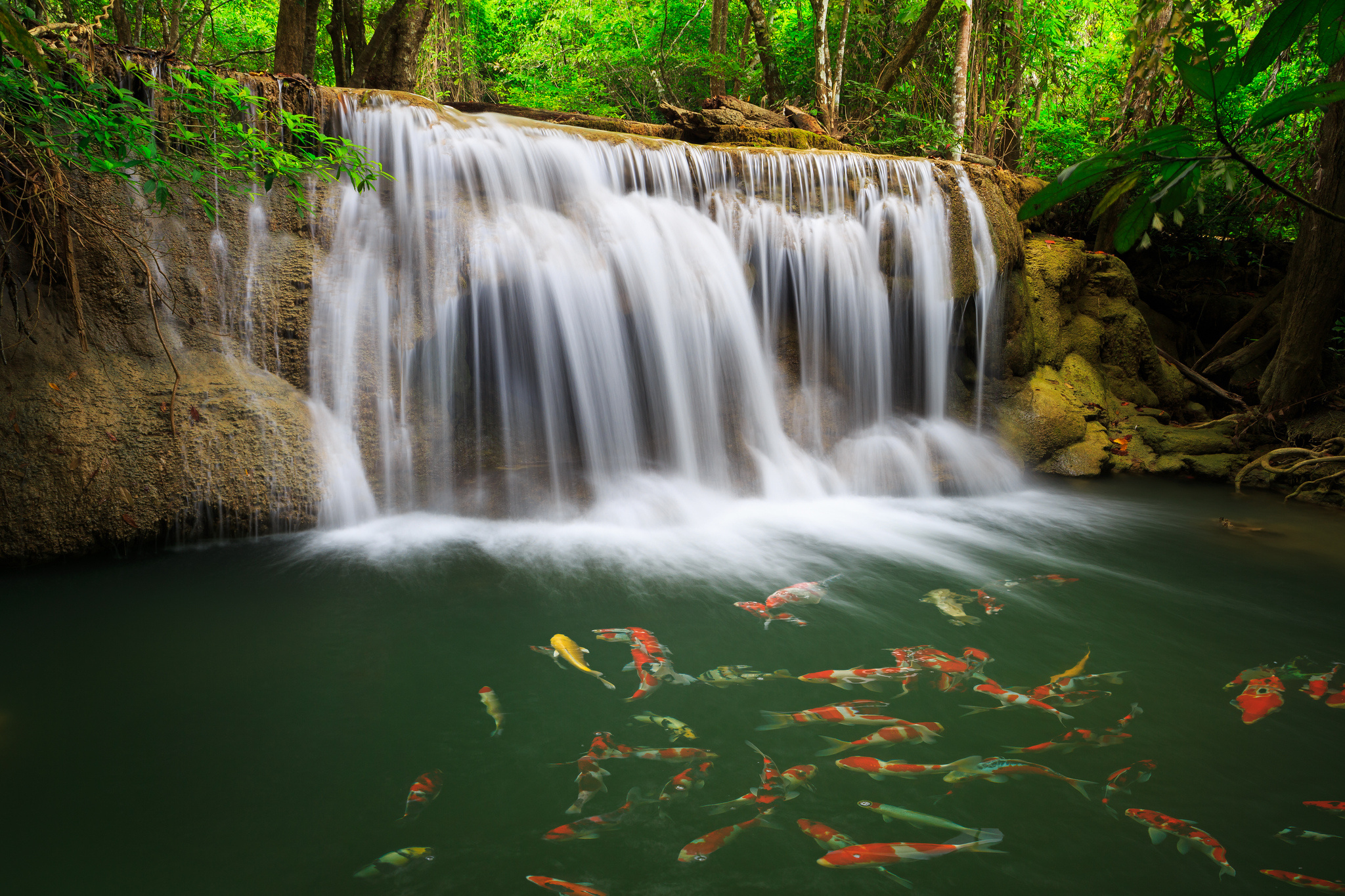 349435 скачать обои водопады, земля/природа, водопад, национальный парк эраван, водопад эраван, рыба, таиланд - заставки и картинки бесплатно