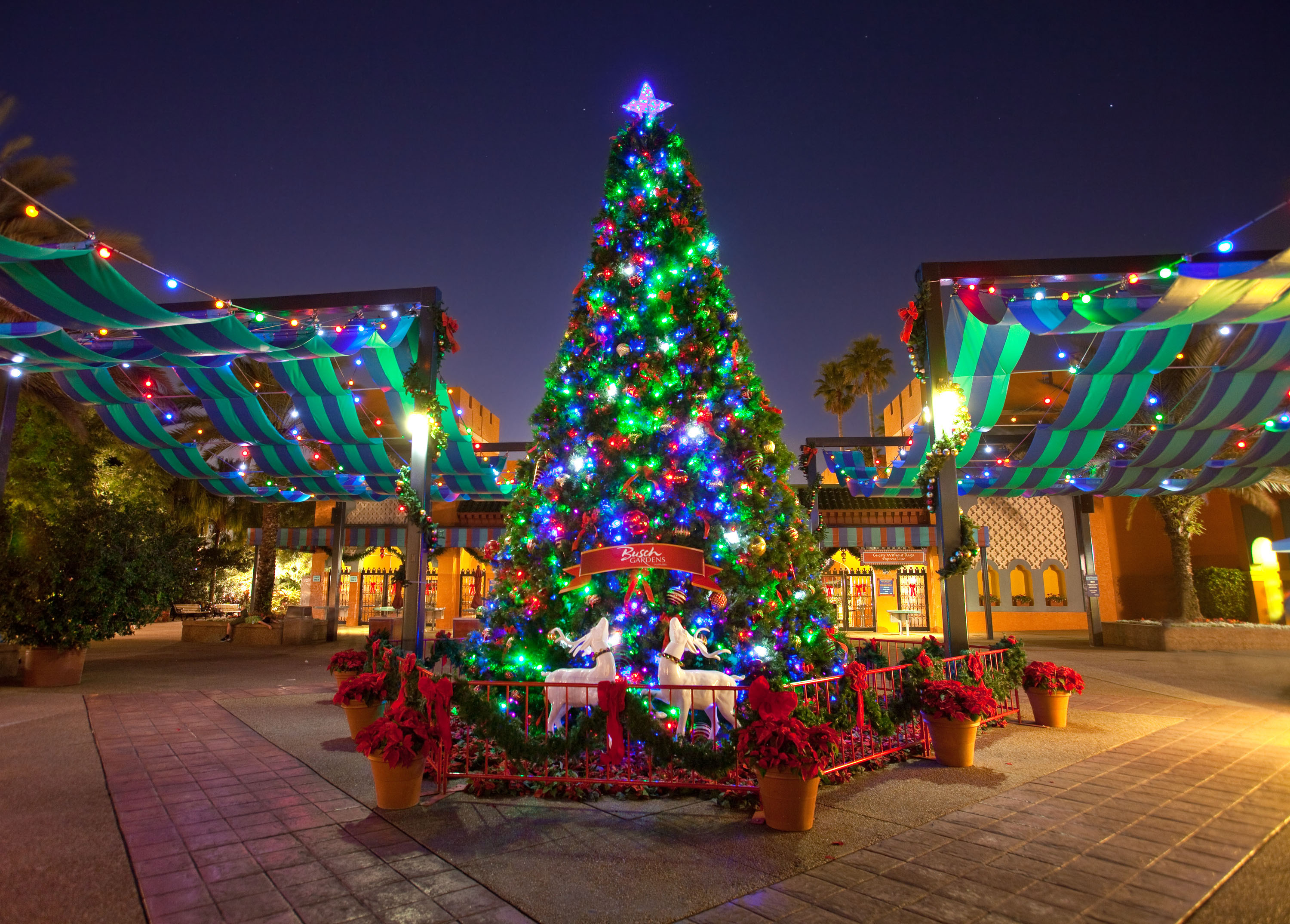 Download mobile wallpaper Light, Christmas, Holiday, Square, Christmas Tree, Town for free.