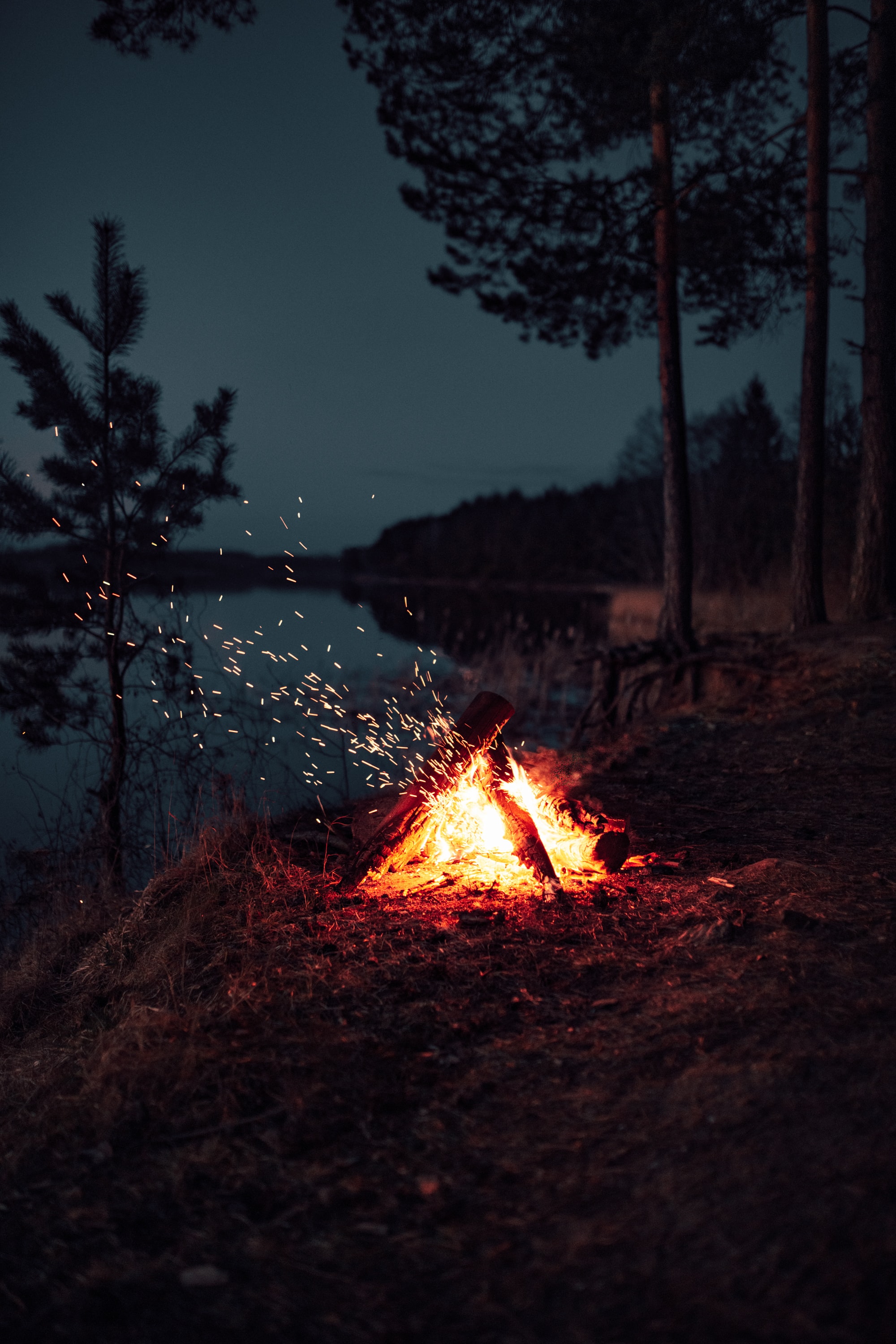 dark, bonfire, camping, campsite, night, sparks