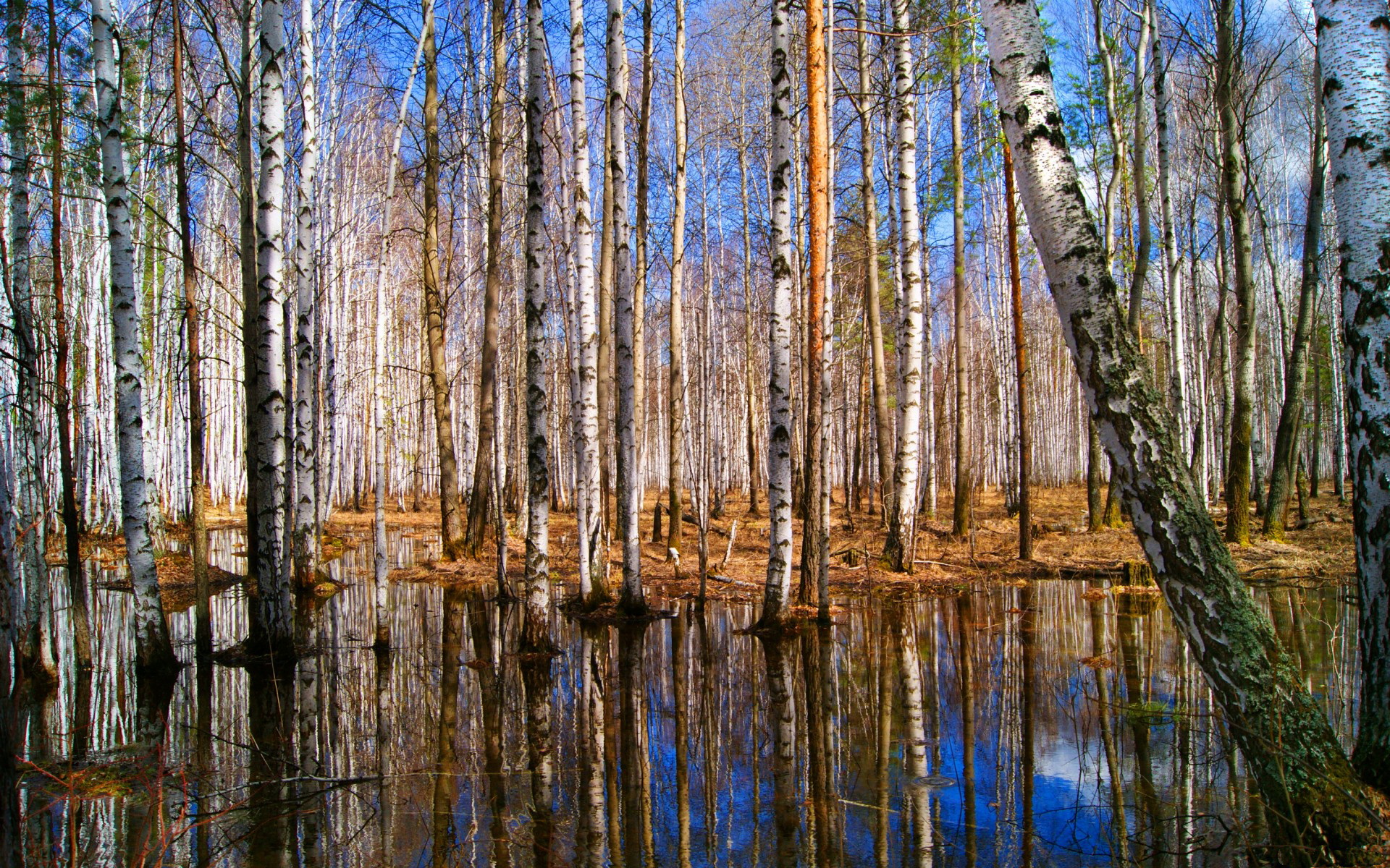 Baixe gratuitamente a imagem Terra/natureza, Reflecção na área de trabalho do seu PC