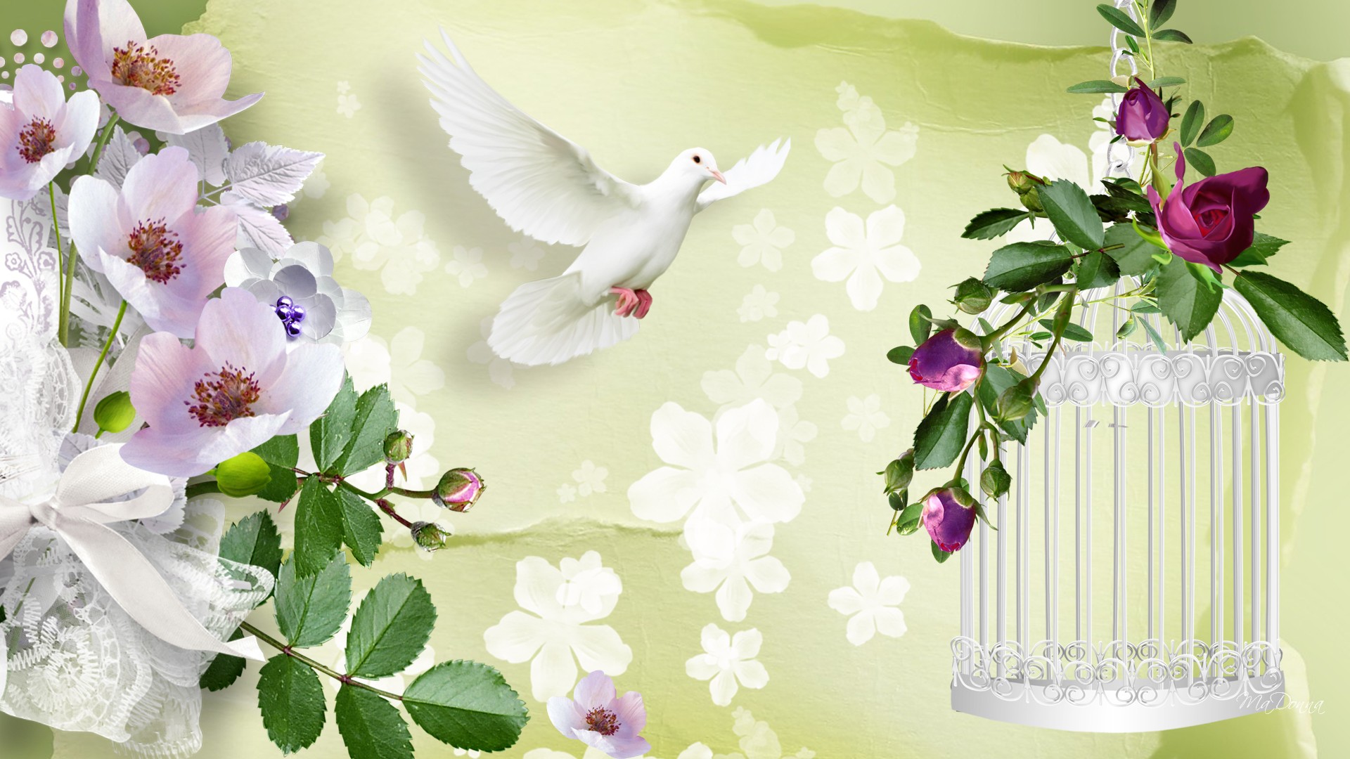 Free download wallpaper Flower, Spring, Artistic, Dove, Birdcage on your PC desktop