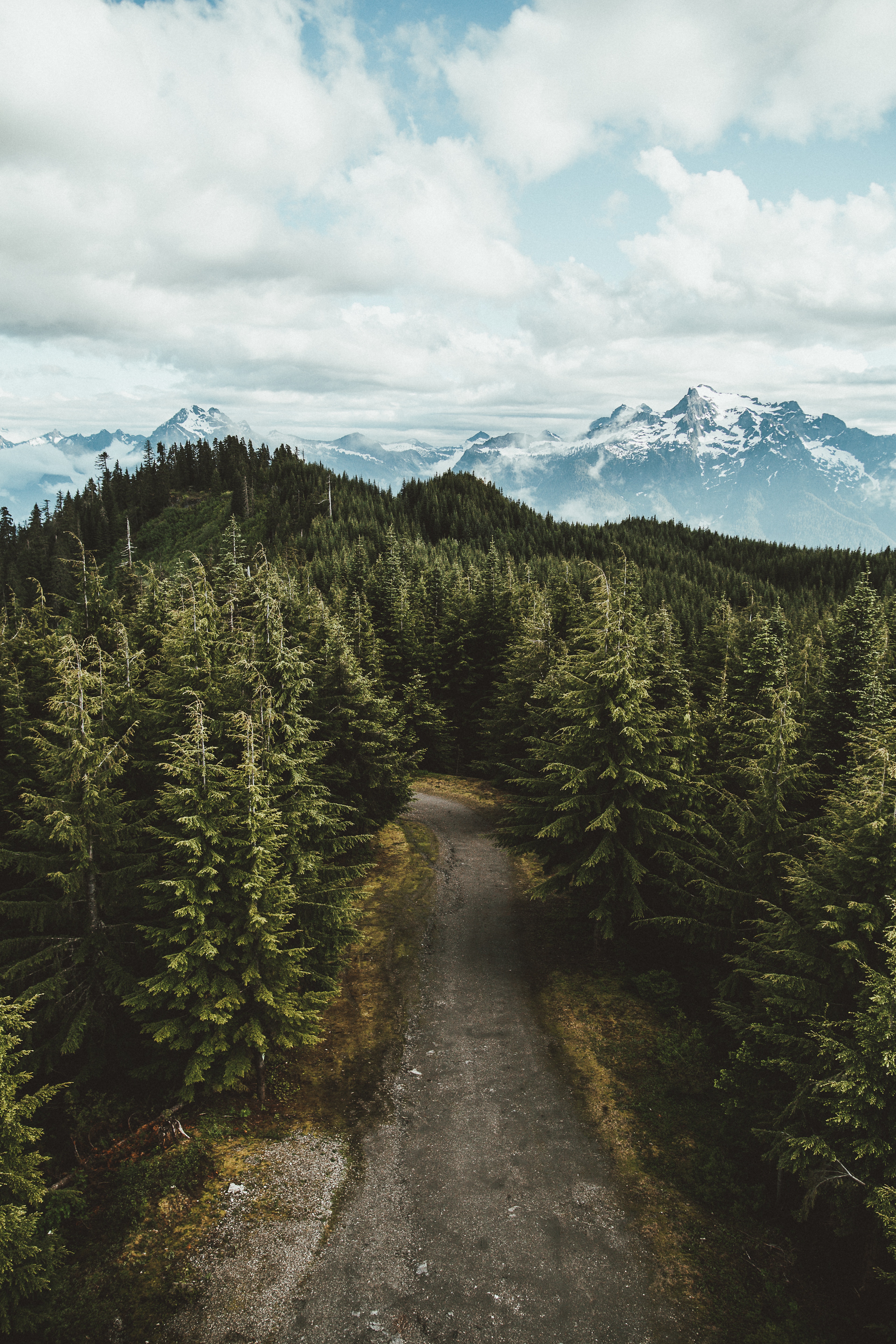 usa, united states, landscape, nature, trees, sky, mountains, view from above, road, darrington Smartphone Background
