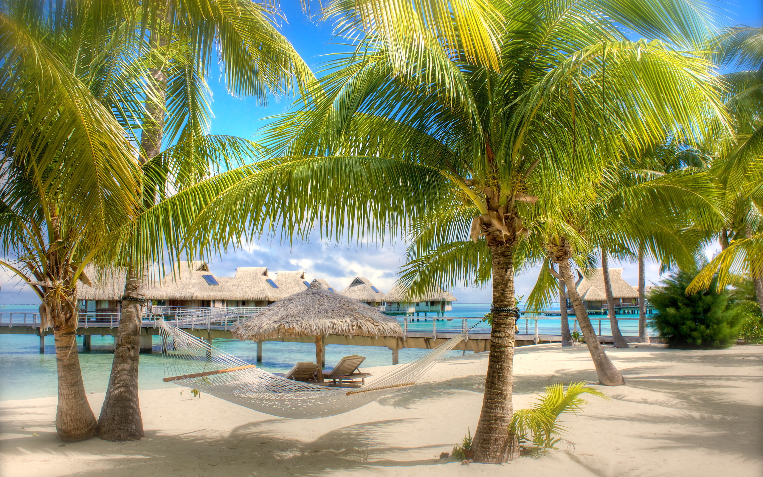 Free download wallpaper Beach, Tree, Holiday, Tropical, Hut, Photography, Palm Tree on your PC desktop