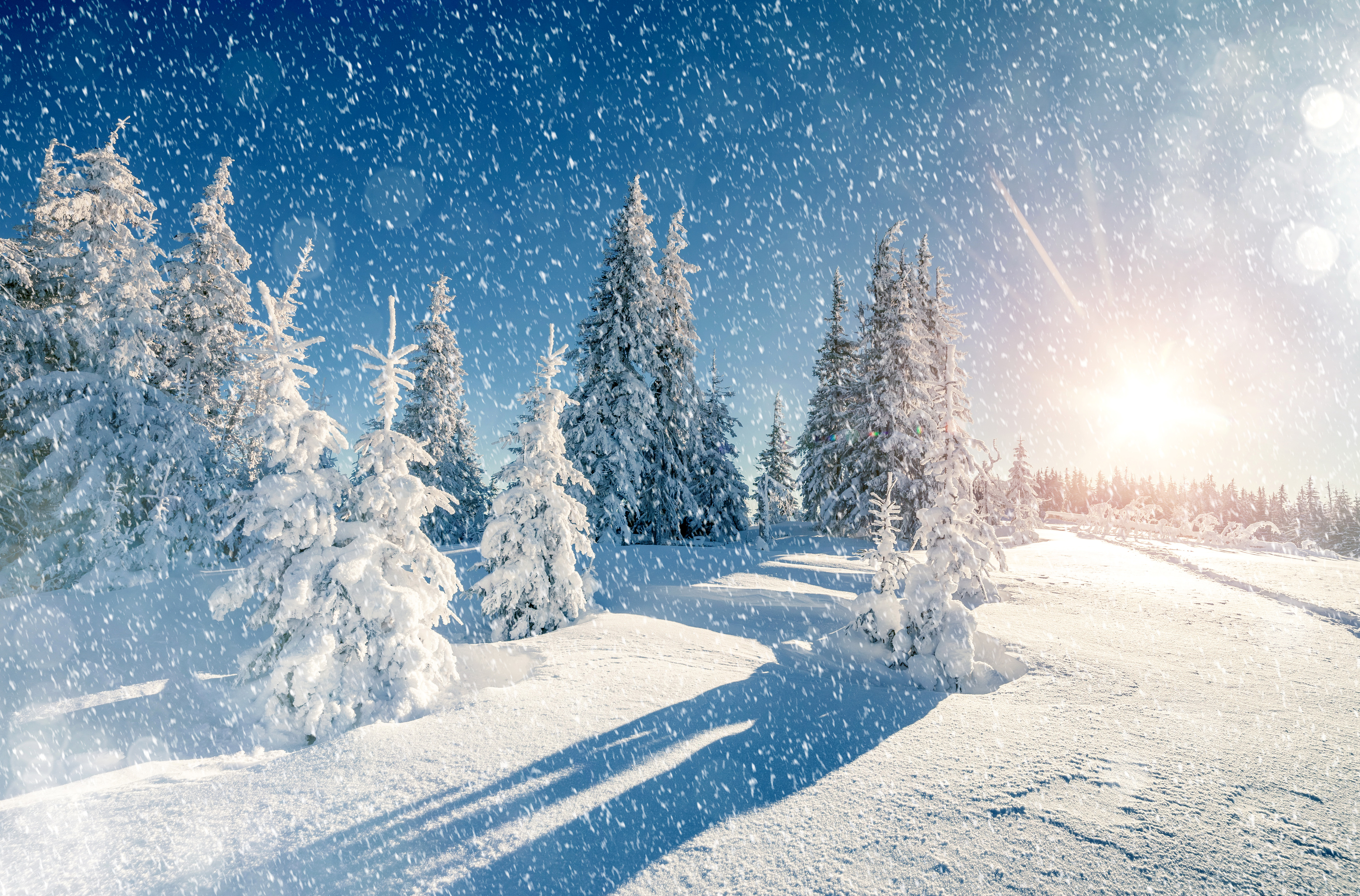 Завантажити шпалери безкоштовно Зима, Природа, Сонце, Сніг, Дерево, Земля, Снігопад картинка на робочий стіл ПК
