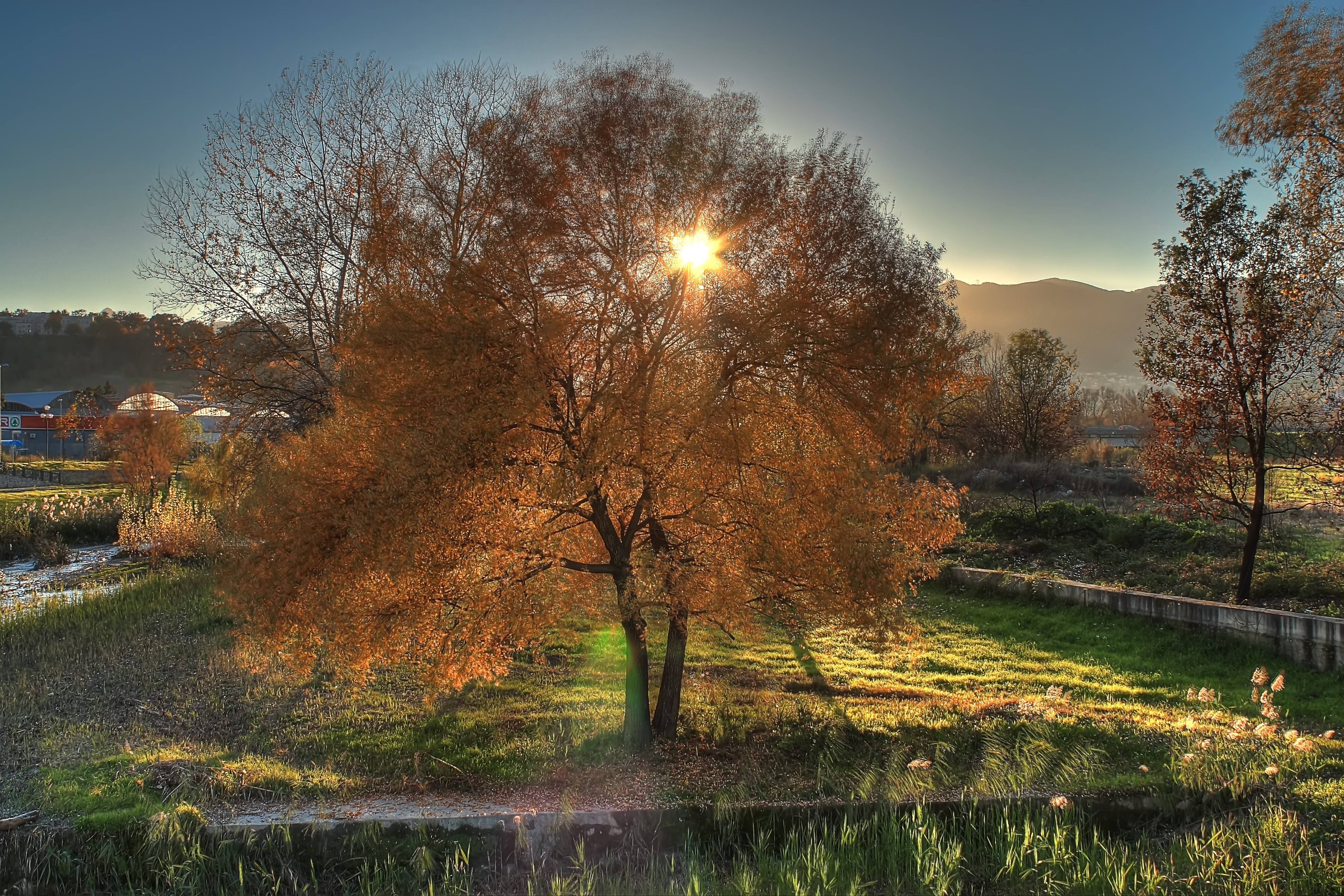 Laden Sie das Bäume, Natur, Herbst, Landschaft-Bild kostenlos auf Ihren PC-Desktop herunter
