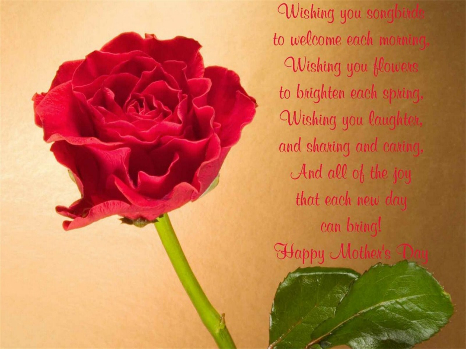 Téléchargez des papiers peints mobile Rose, Fleur, Vacances, Rose Rouge, Fête Des Mères gratuitement.