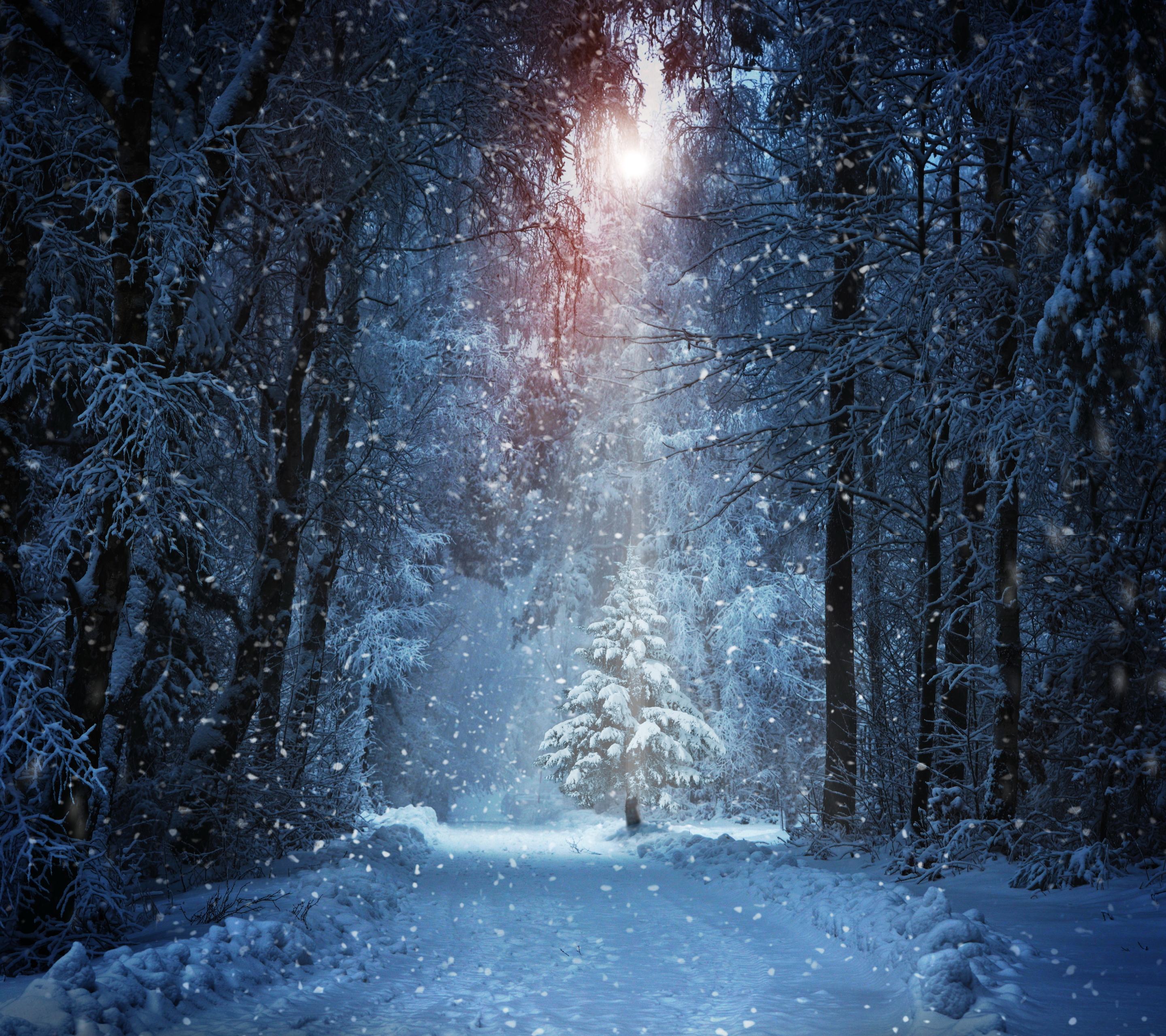 Download mobile wallpaper Winter, Snow, Forest, Earth, Path, Snowfall, Sunbeam, Sunbean for free.