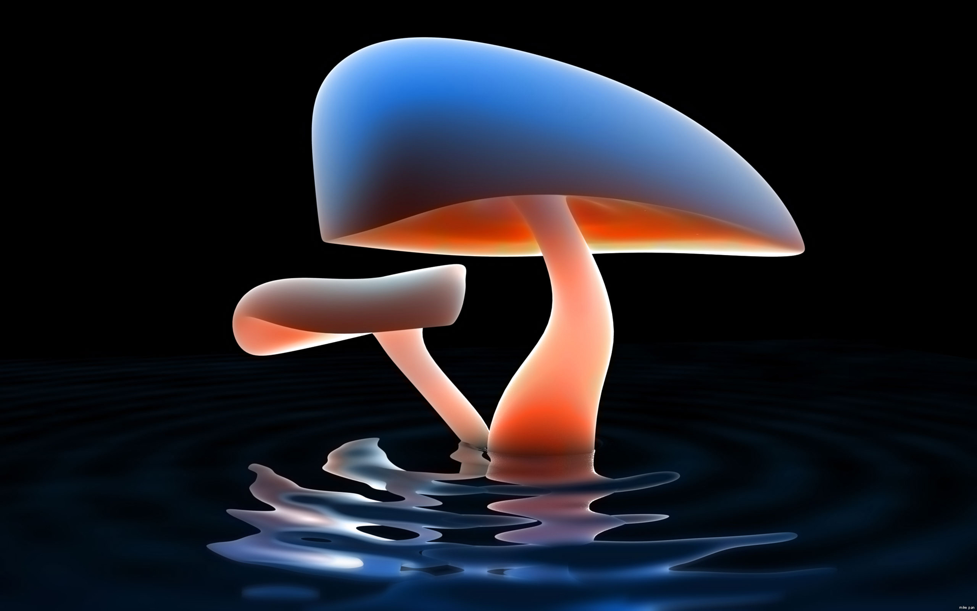 Free download wallpaper Mushroom, Artistic on your PC desktop