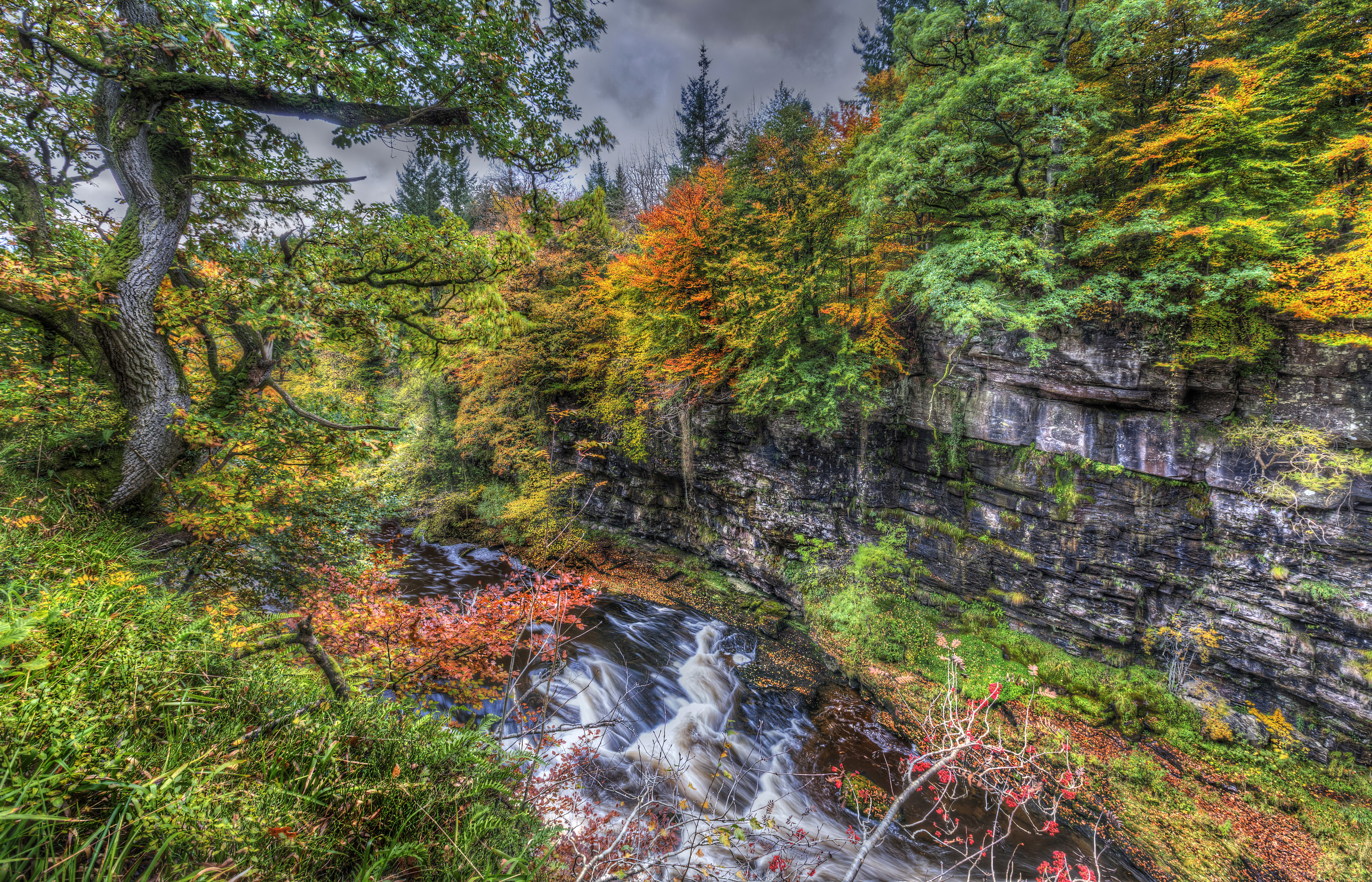 Скачать картинку Река, Осень, Лес, Дерево, Hdr, Фотографии в телефон бесплатно.