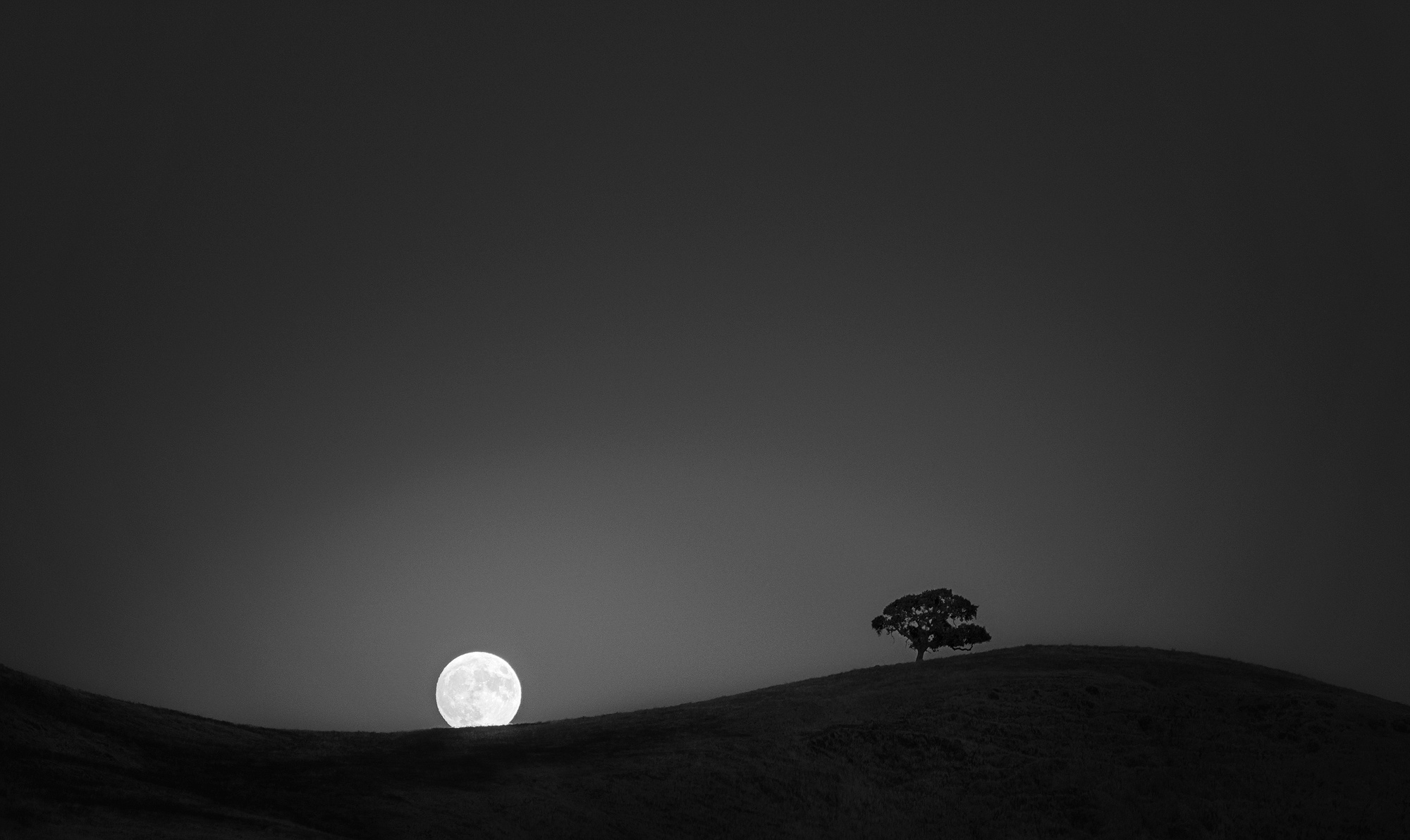 Скачать картинку Ночь, Луна, Земля/природа в телефон бесплатно.