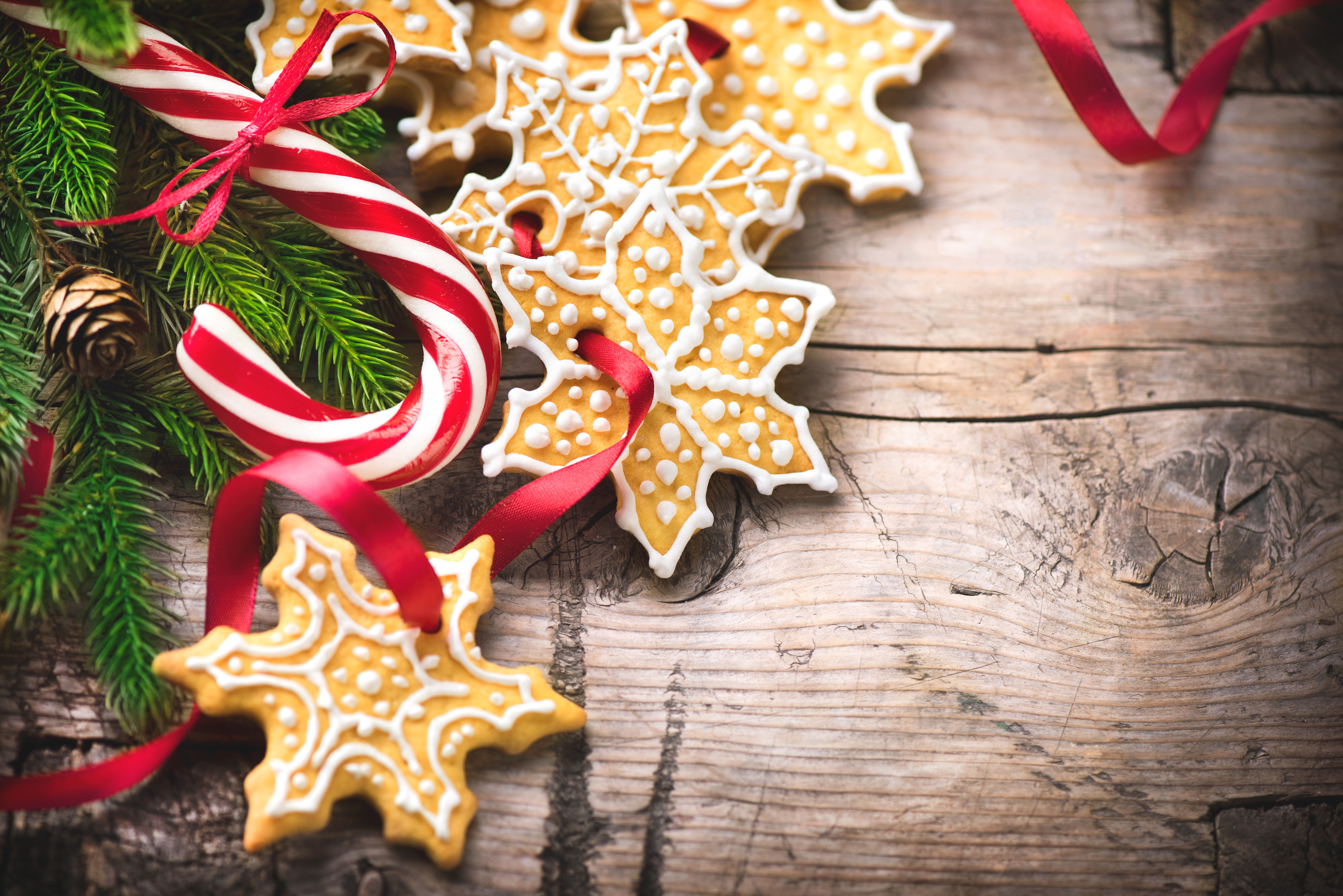 Free download wallpaper Food, Christmas, Cookie, Candy Cane on your PC desktop