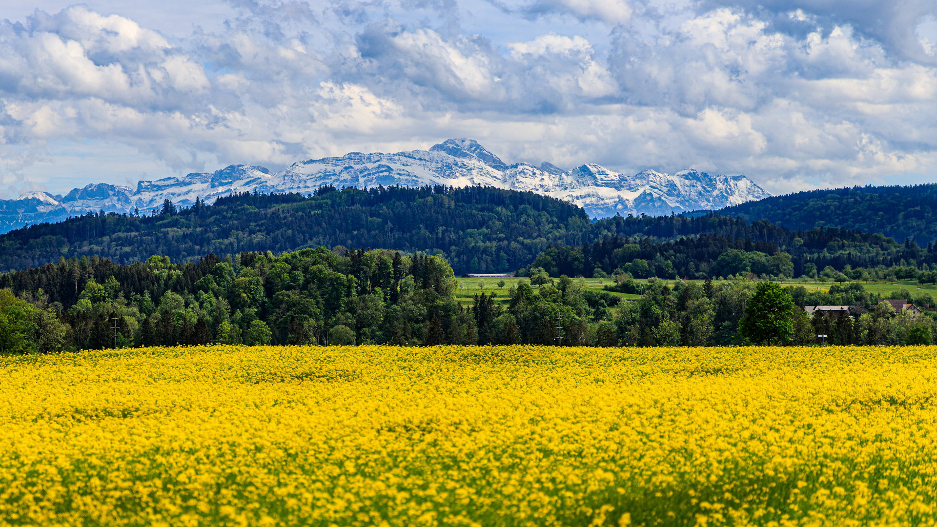 Free download wallpaper Landscape, Nature, Mountain, Earth, Field, Cloud, Yellow Flower, Rapeseed on your PC desktop