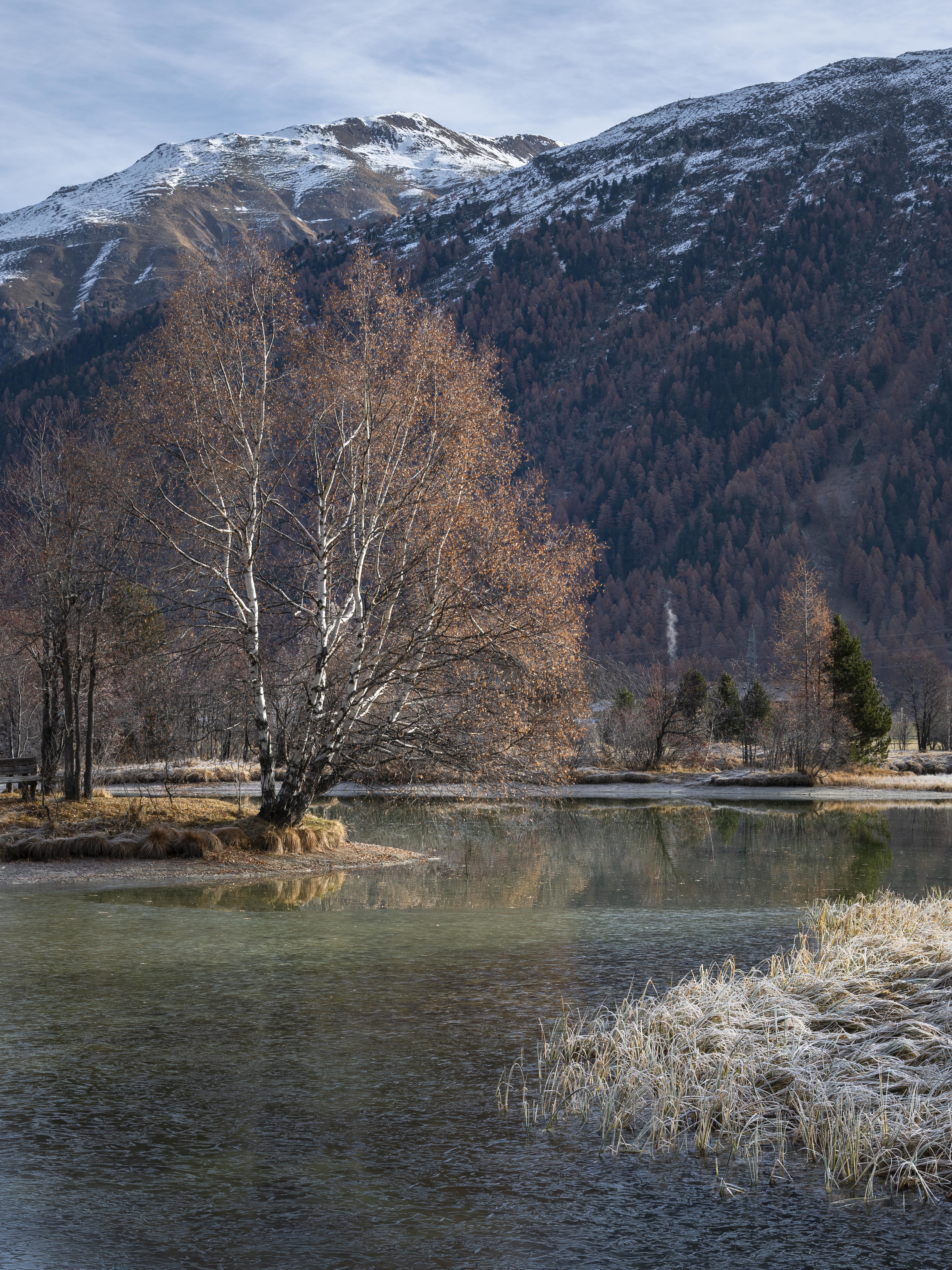 Descarga gratuita de fondo de pantalla para móvil de Naturaleza, Árboles, Montaña, Lago, Agua.