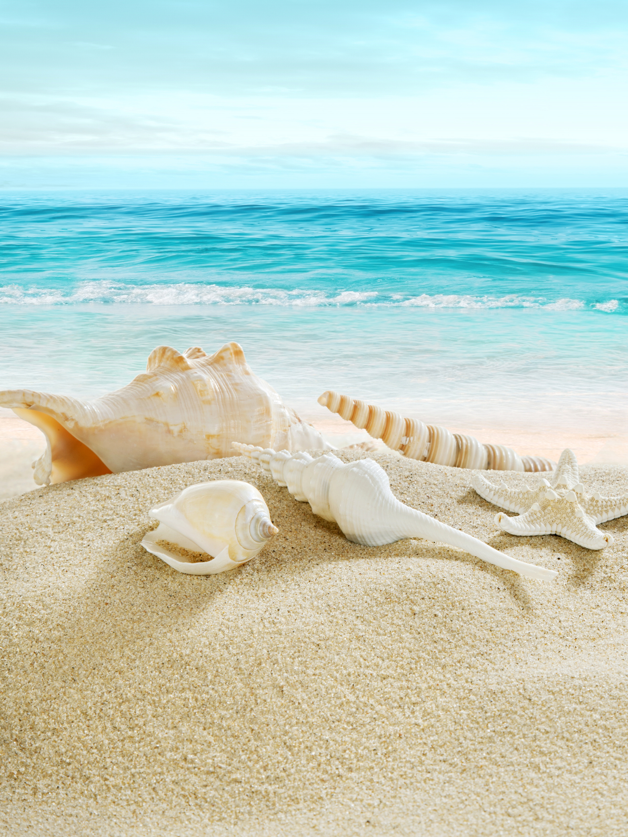 Download mobile wallpaper Nature, Beach, Sand, Horizon, Ocean, Earth, Shell for free.