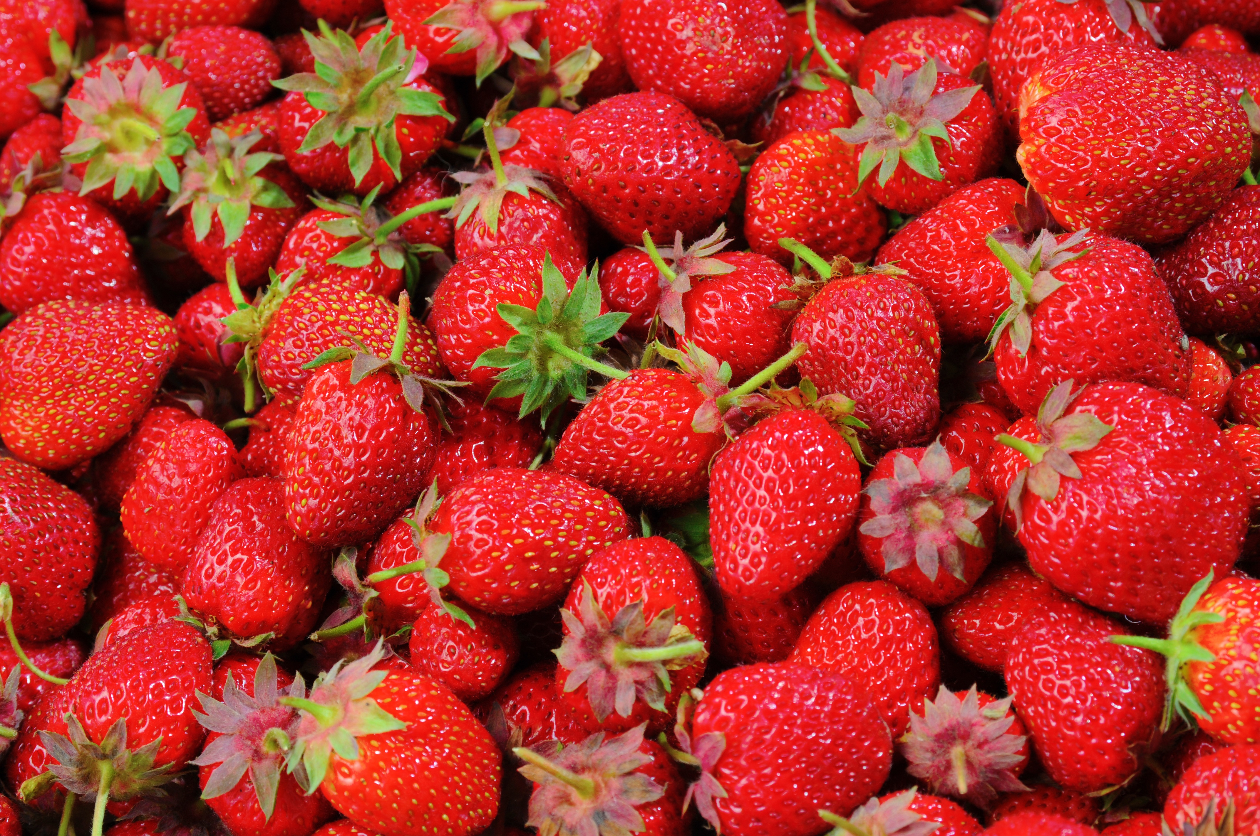 Free download wallpaper Ripe, Strawberry, Berries, Food on your PC desktop