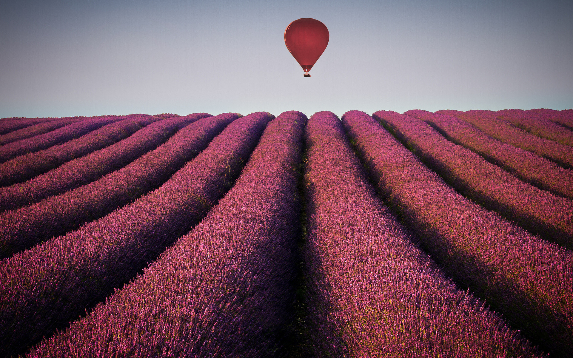 Download mobile wallpaper Landscape, Field, Vehicles, Hot Air Balloon for free.