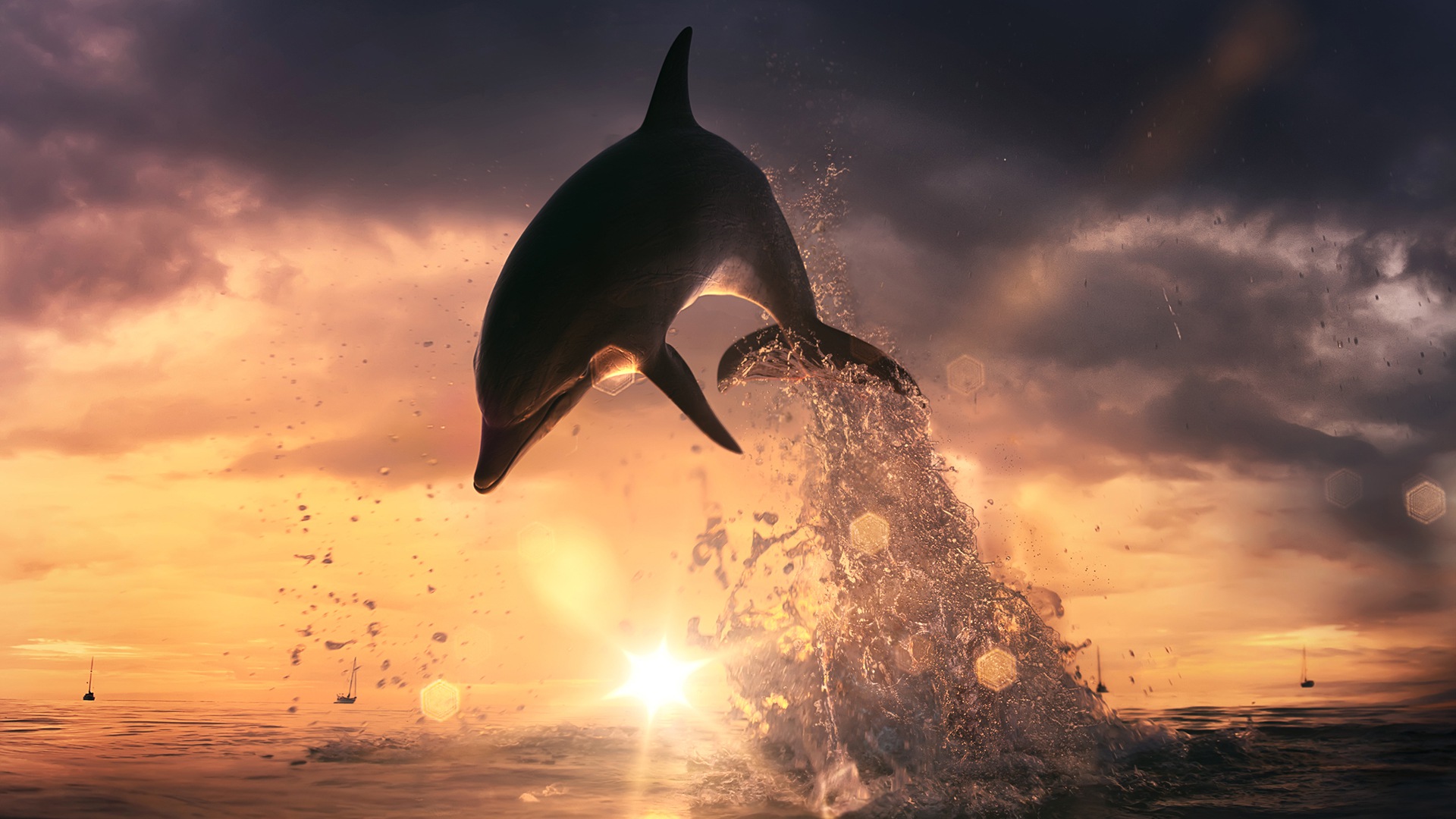 Download mobile wallpaper Animal, Dolphin for free.