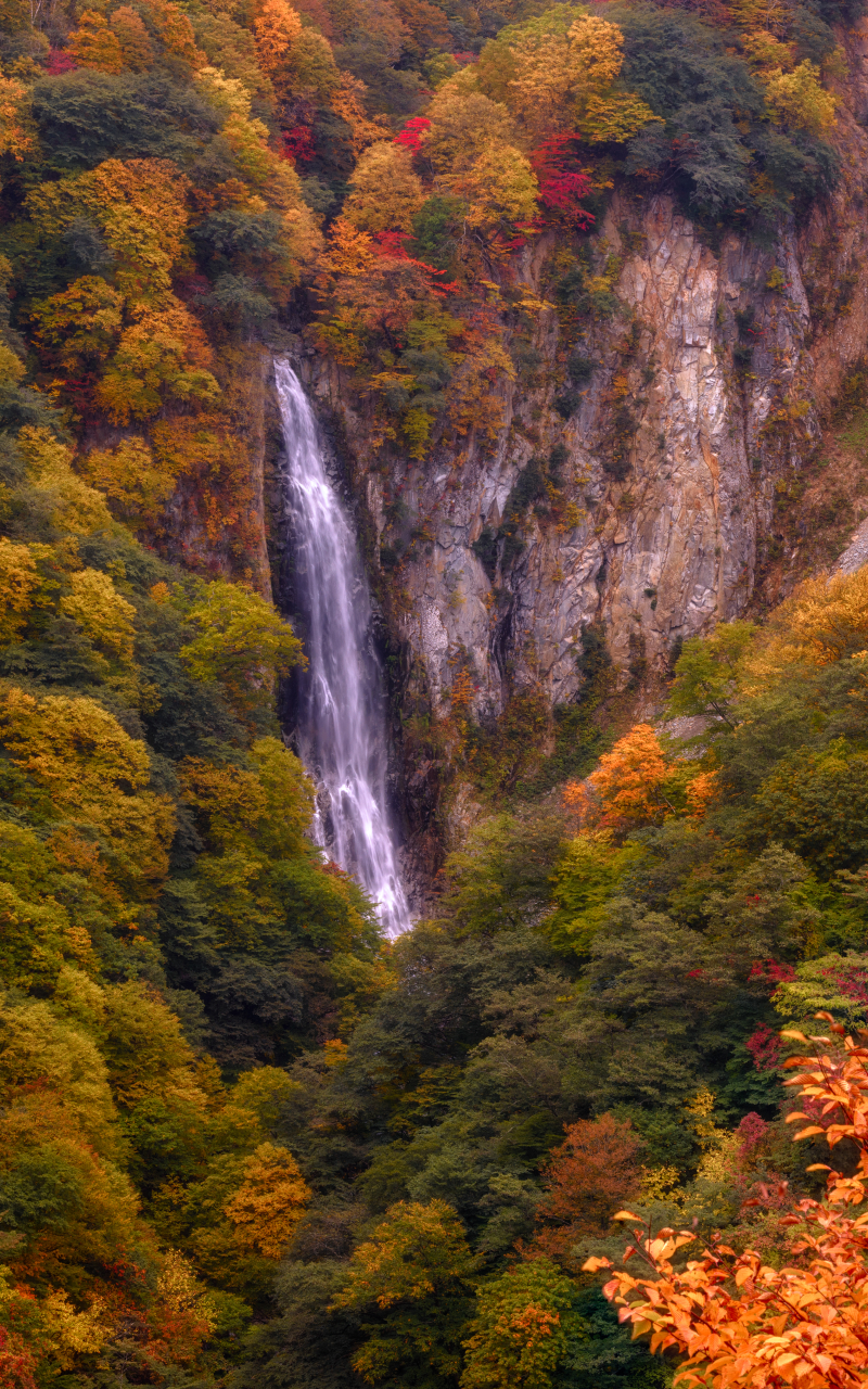 Скачать картинку Пейзаж, Осень, Водопады, Водопад, Япония, Ландшафт, Падать, Земля/природа в телефон бесплатно.