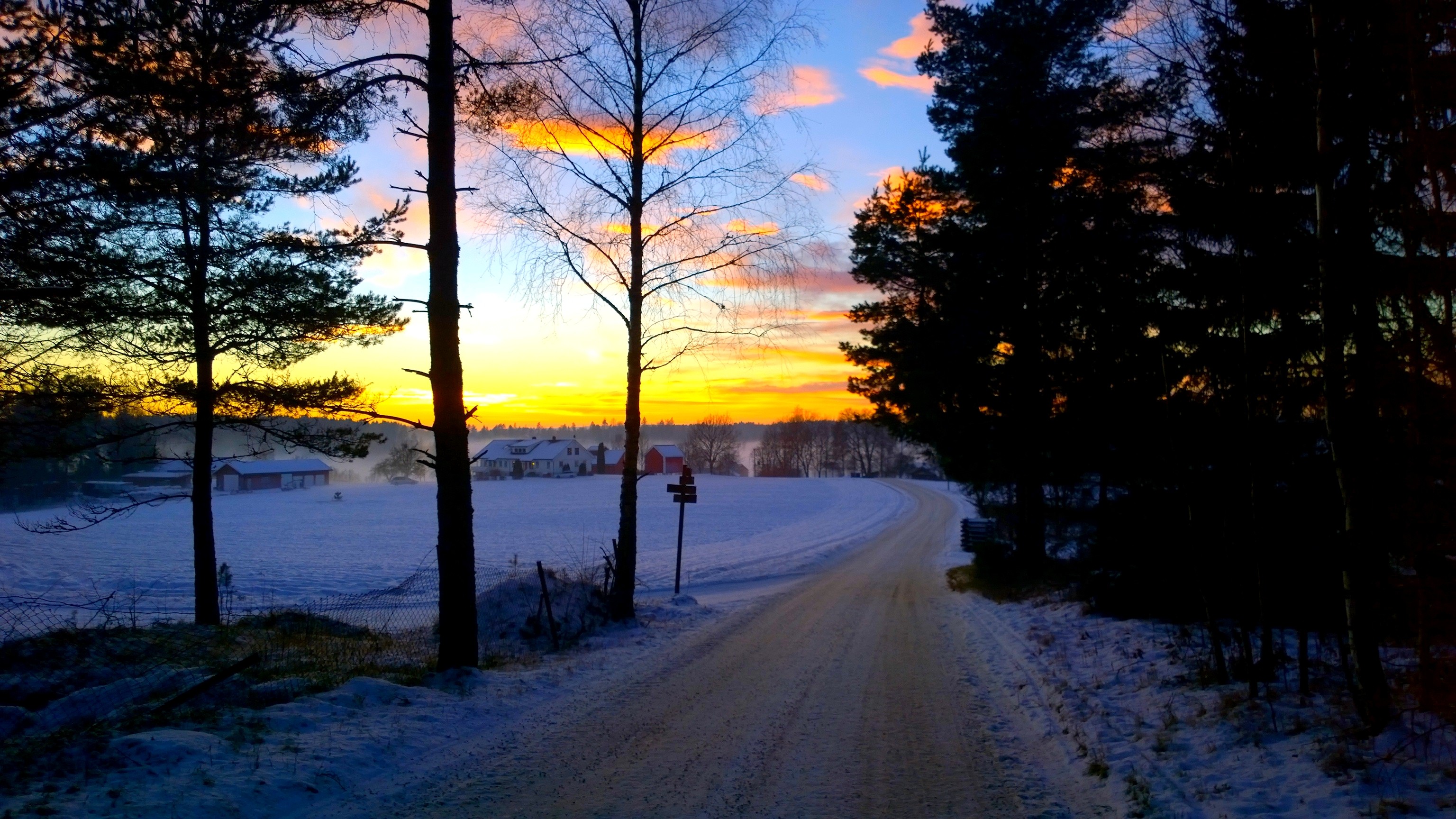 無料モバイル壁紙冬, 木, 日没, 雪, 道, 写真撮影をダウンロードします。