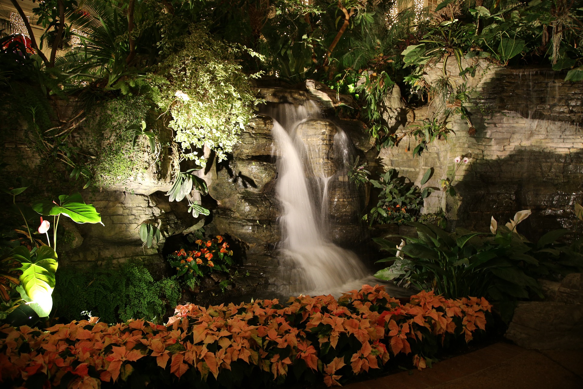 807577 скачать картинку сад, сделано человеком, цветок, растение, пуансеттия, водопад - обои и заставки бесплатно
