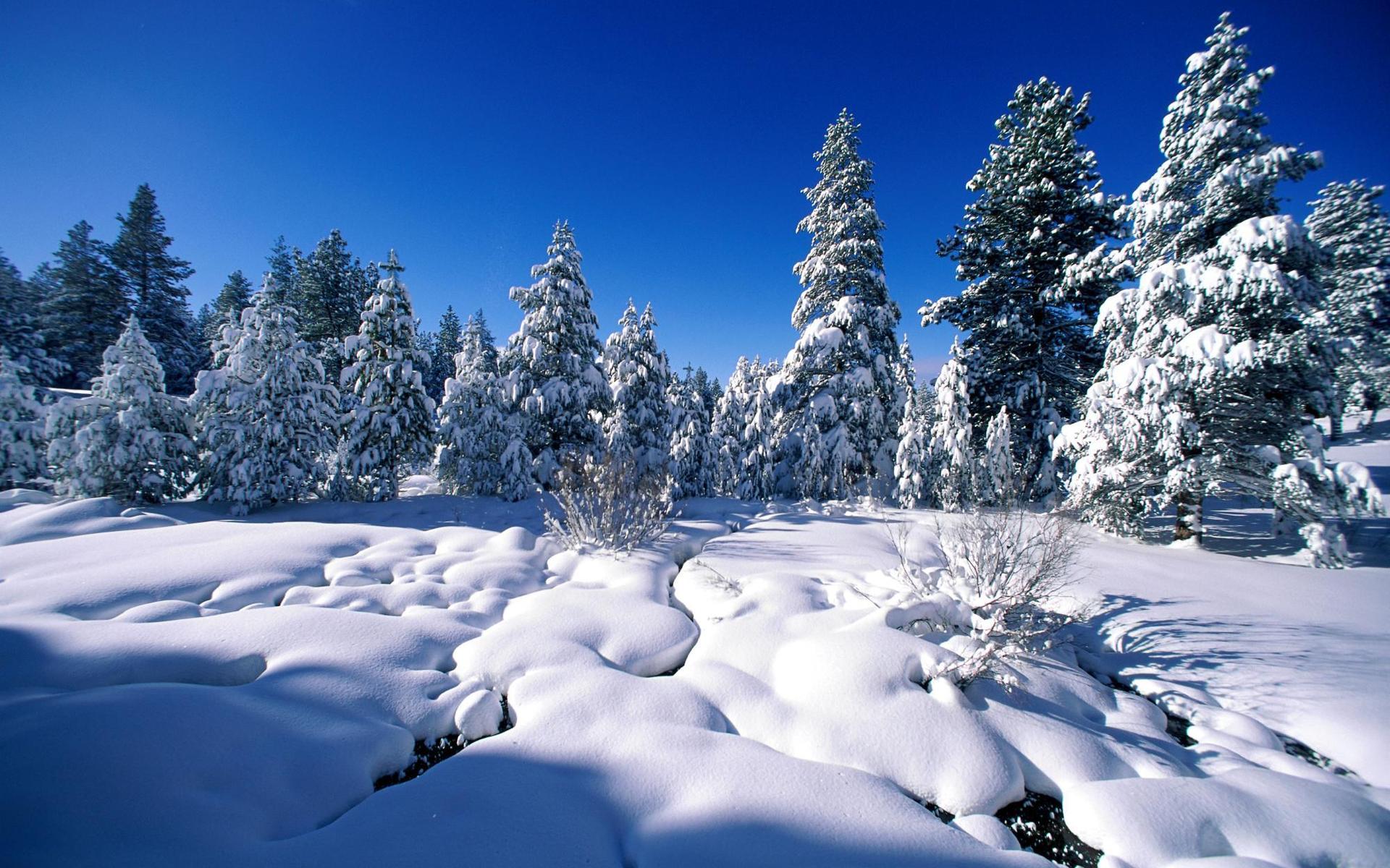 Free download wallpaper Winter, Earth on your PC desktop