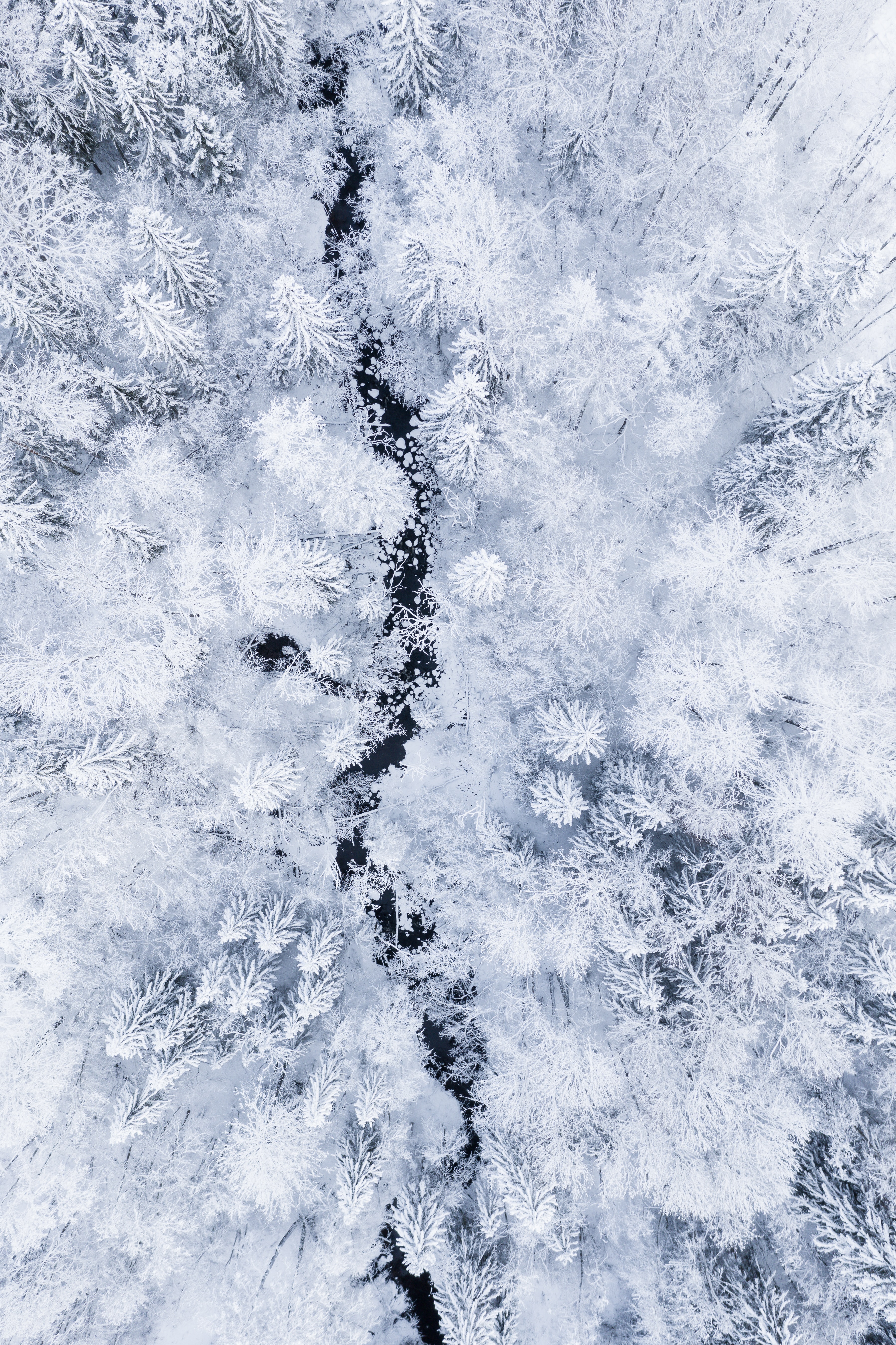 105476画像をダウンロード自然, 冬, 川, 雪, 上から見る, 森林, 森, 白い-壁紙とスクリーンセーバーを無料で
