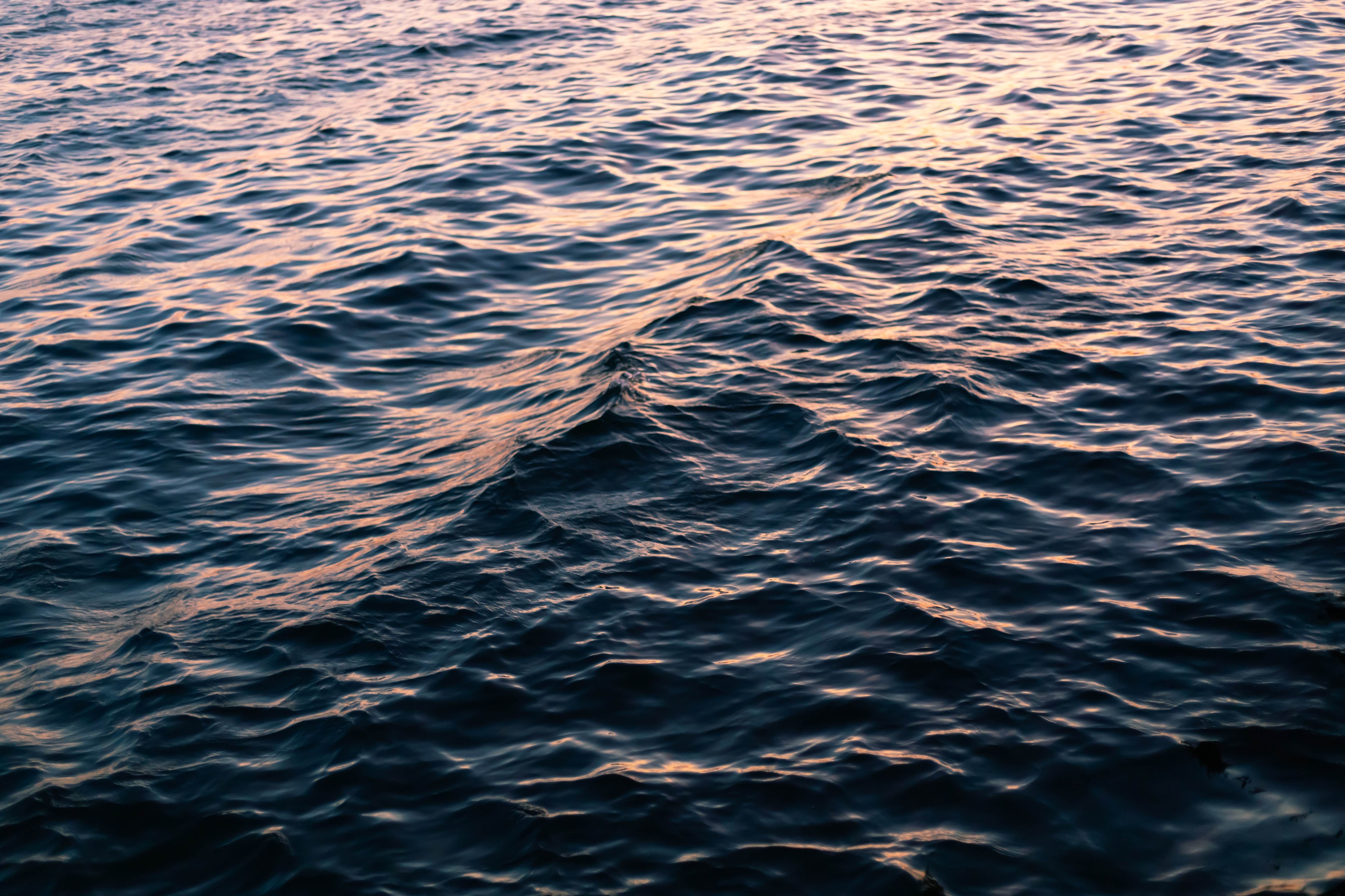 nature, water, sea, waves, ripples, ripple