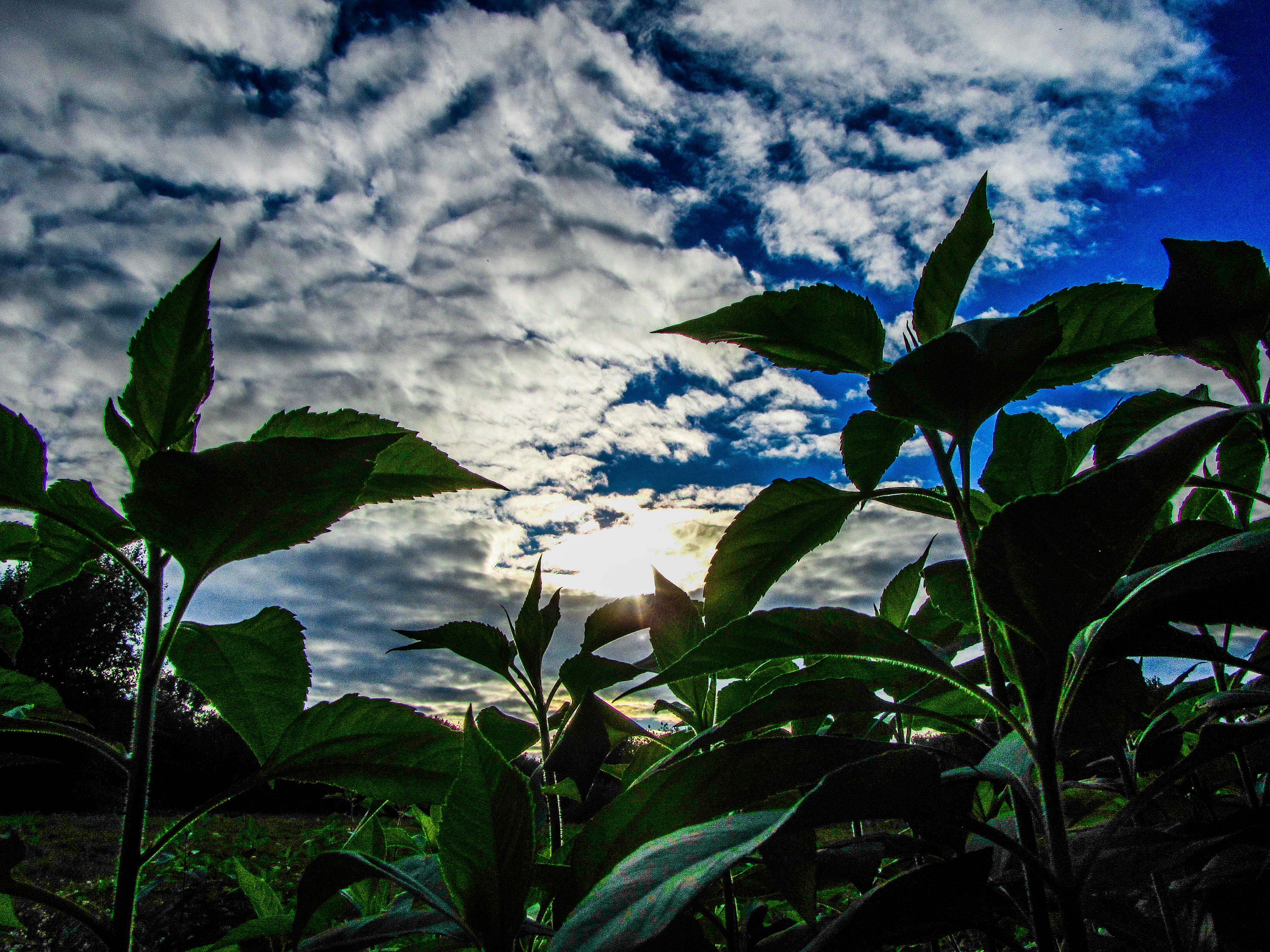 Descarga gratis la imagen Cielo, Tierra/naturaleza en el escritorio de tu PC