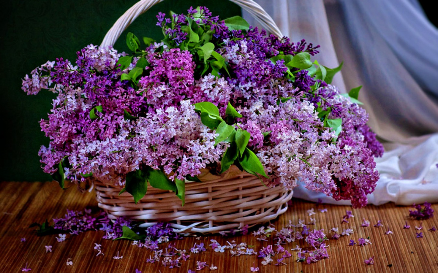 無料モバイル壁紙ライラック, 静物, 花, バスケット, マンメイド, 紫色の花をダウンロードします。