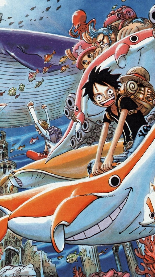 Handy-Wallpaper Animes, One Piece, Tony Tony Chopper, Roronoa Zorro, Affe D Luffy, Nami (Einteiler), Sanji (Einteiler), Nico Robin, Franky (Einteiler) kostenlos herunterladen.
