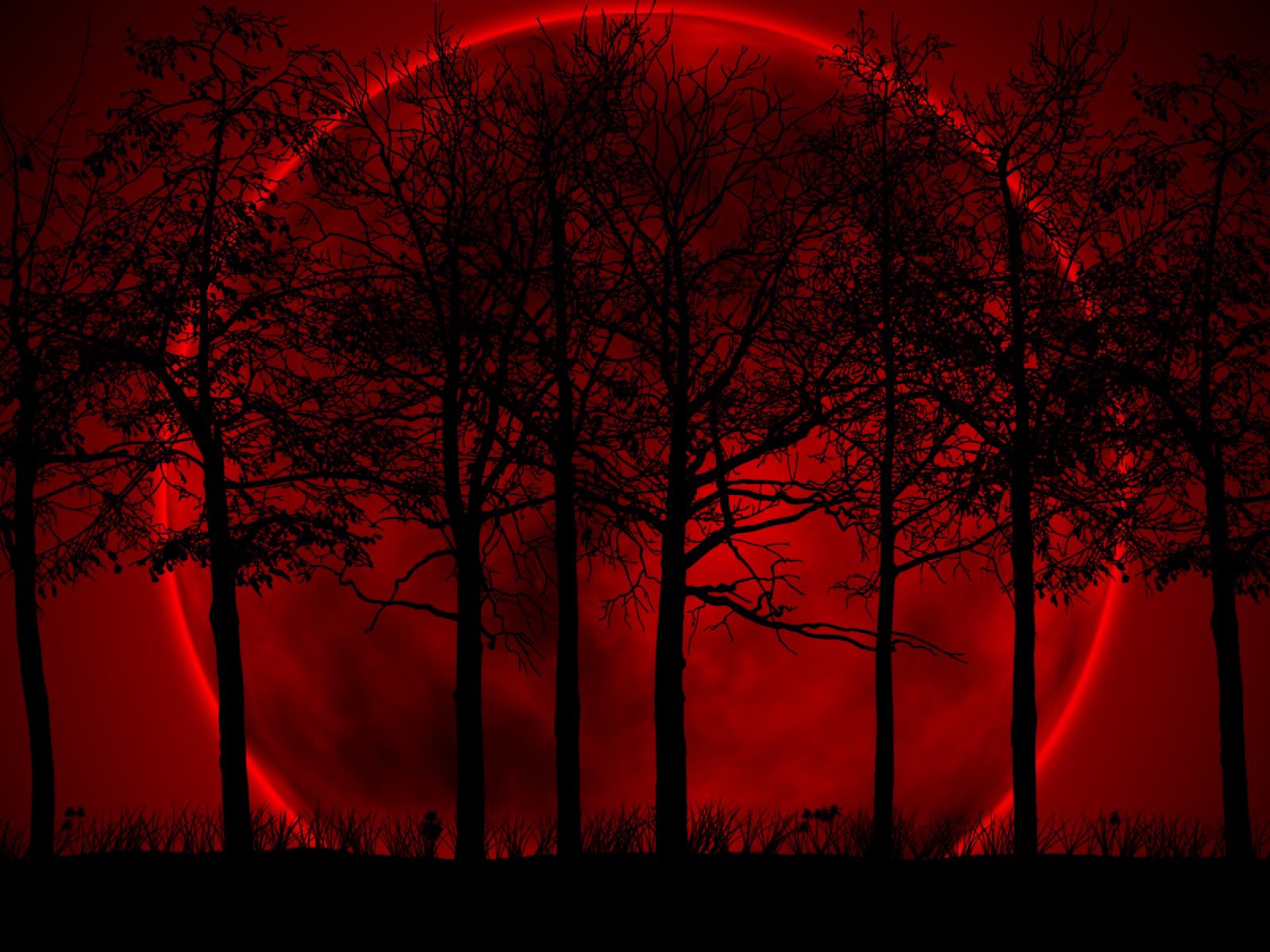 90557 descargar imagen sangriento, eclipse, árboles, cielo, noche, textura, texturas: fondos de pantalla y protectores de pantalla gratis