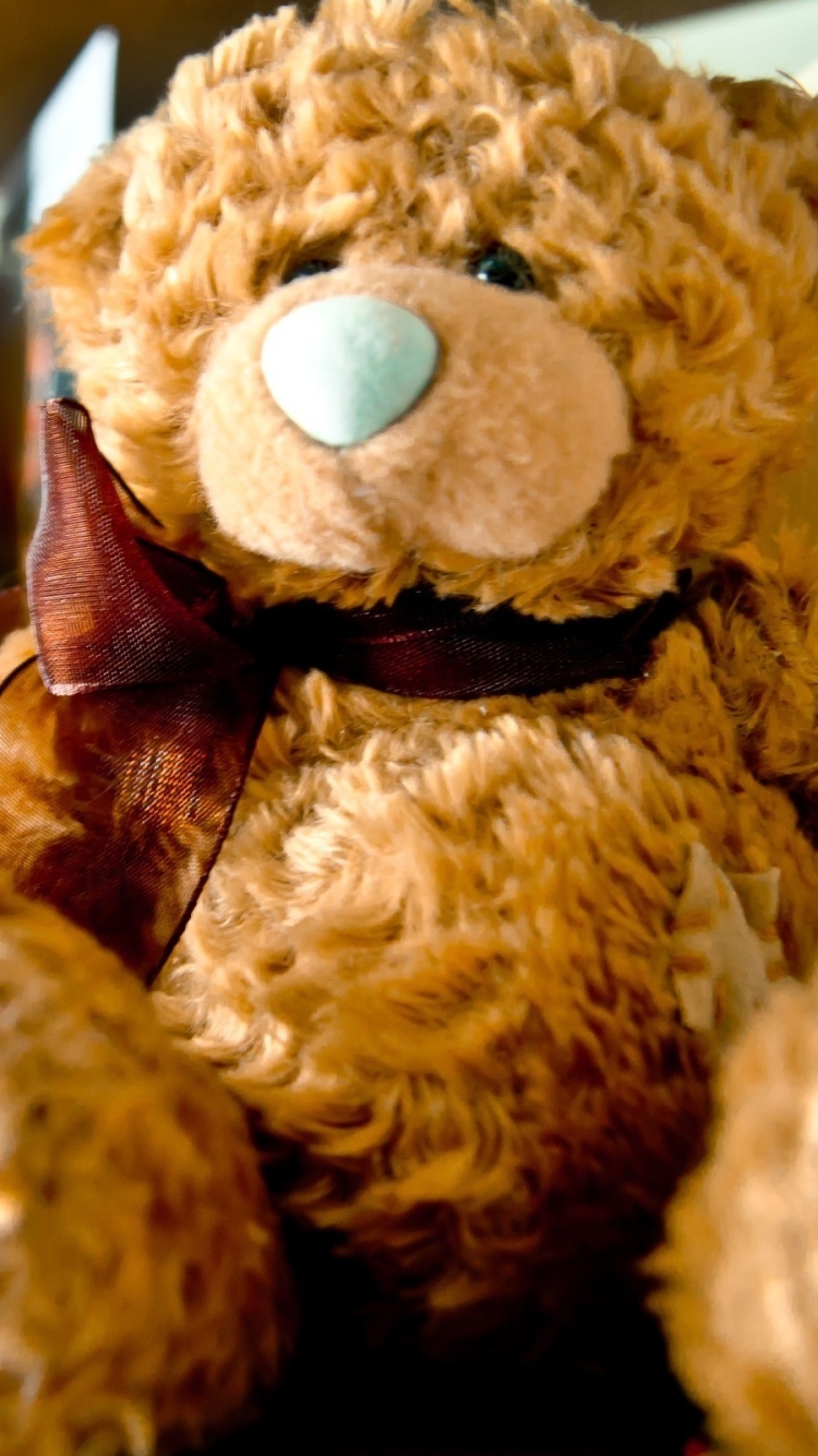 Handy-Wallpaper Teddybär, Menschengemacht, Kuscheltier kostenlos herunterladen.