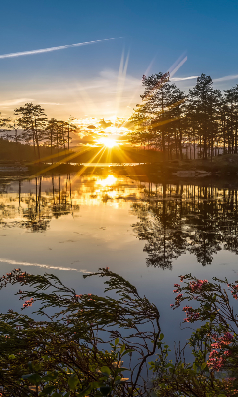 Download mobile wallpaper Nature, Lake, Reflection, Tree, Sunrise, Earth, Sunbeam, Sunbean for free.