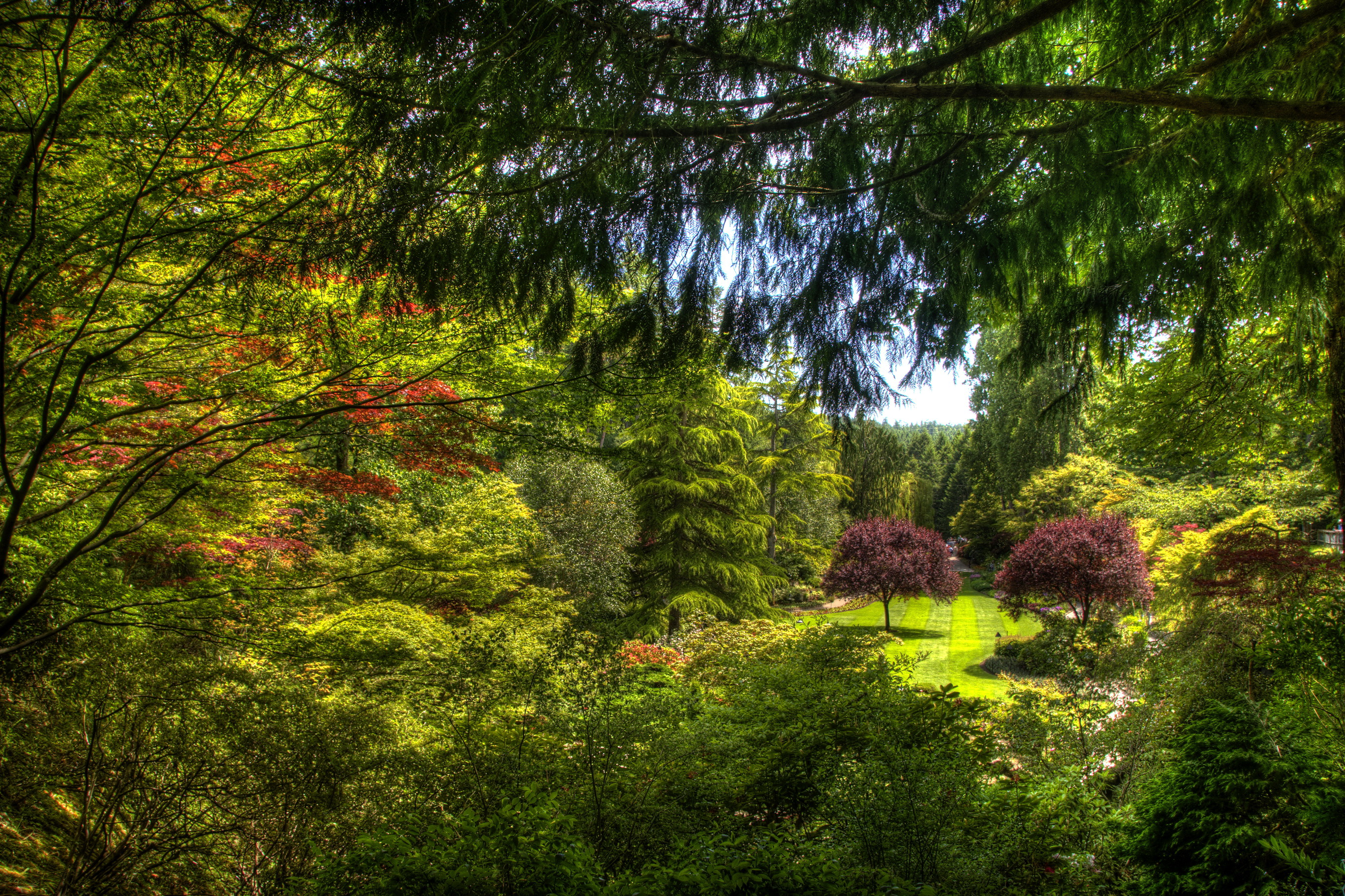 Handy-Wallpaper Hdr, Park, Fotografie kostenlos herunterladen.