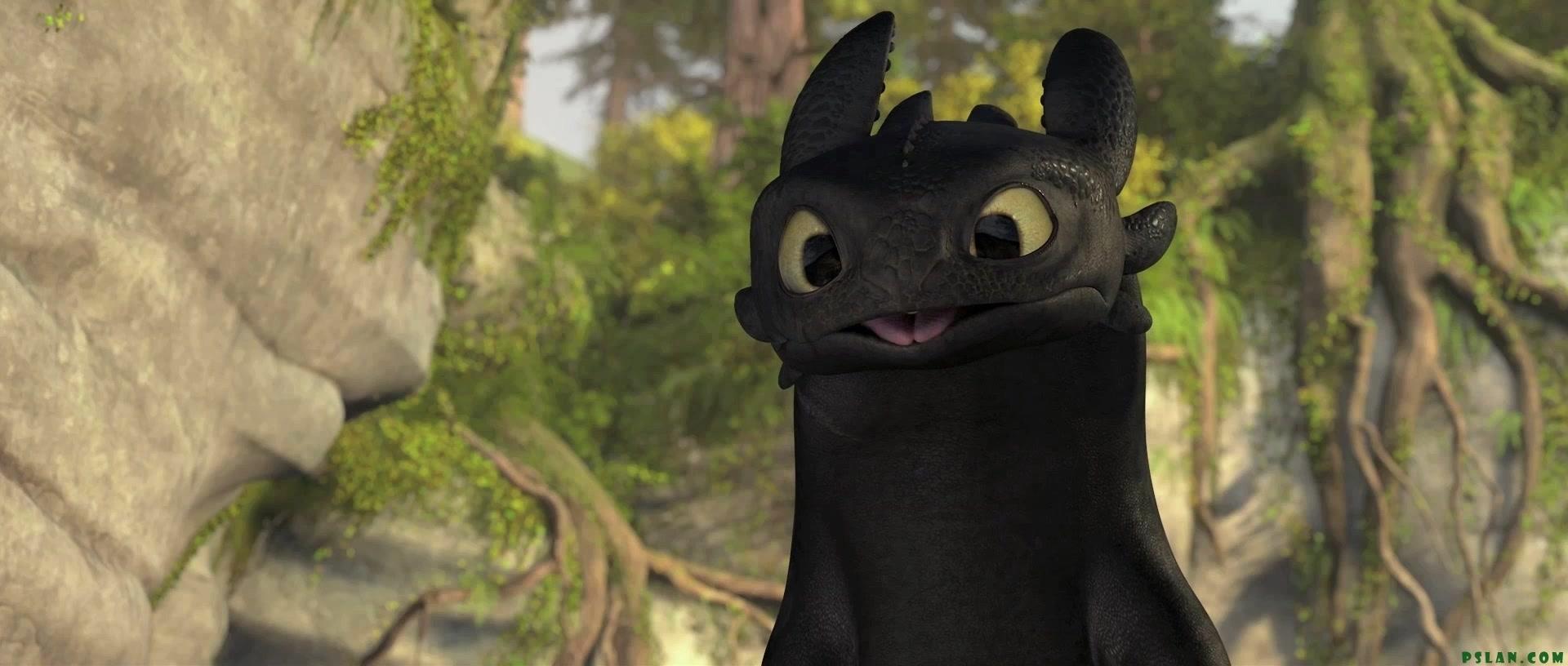 how to train your dragon, toothless (how to train your dragon), movie
