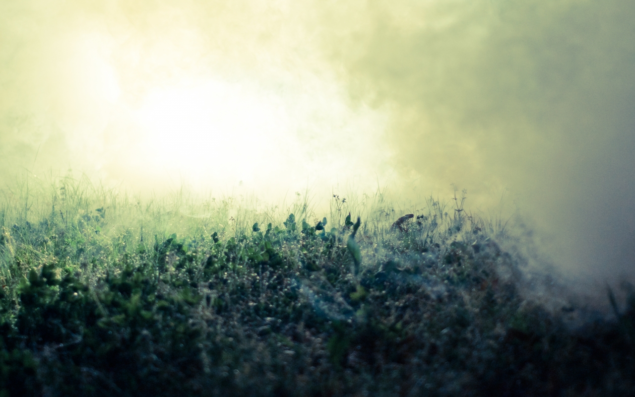 Baixe gratuitamente a imagem Terra/natureza, Neblina na área de trabalho do seu PC