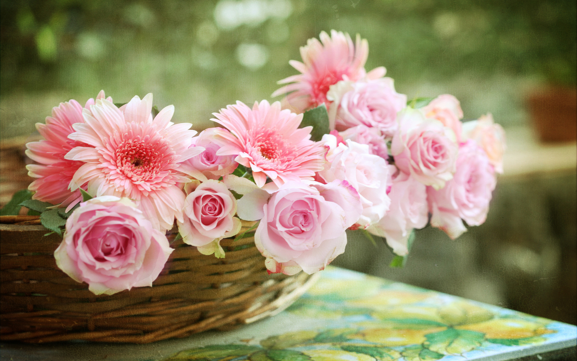 Laden Sie das Gerbera, Blume, Rose, Korb, Menschengemacht-Bild kostenlos auf Ihren PC-Desktop herunter