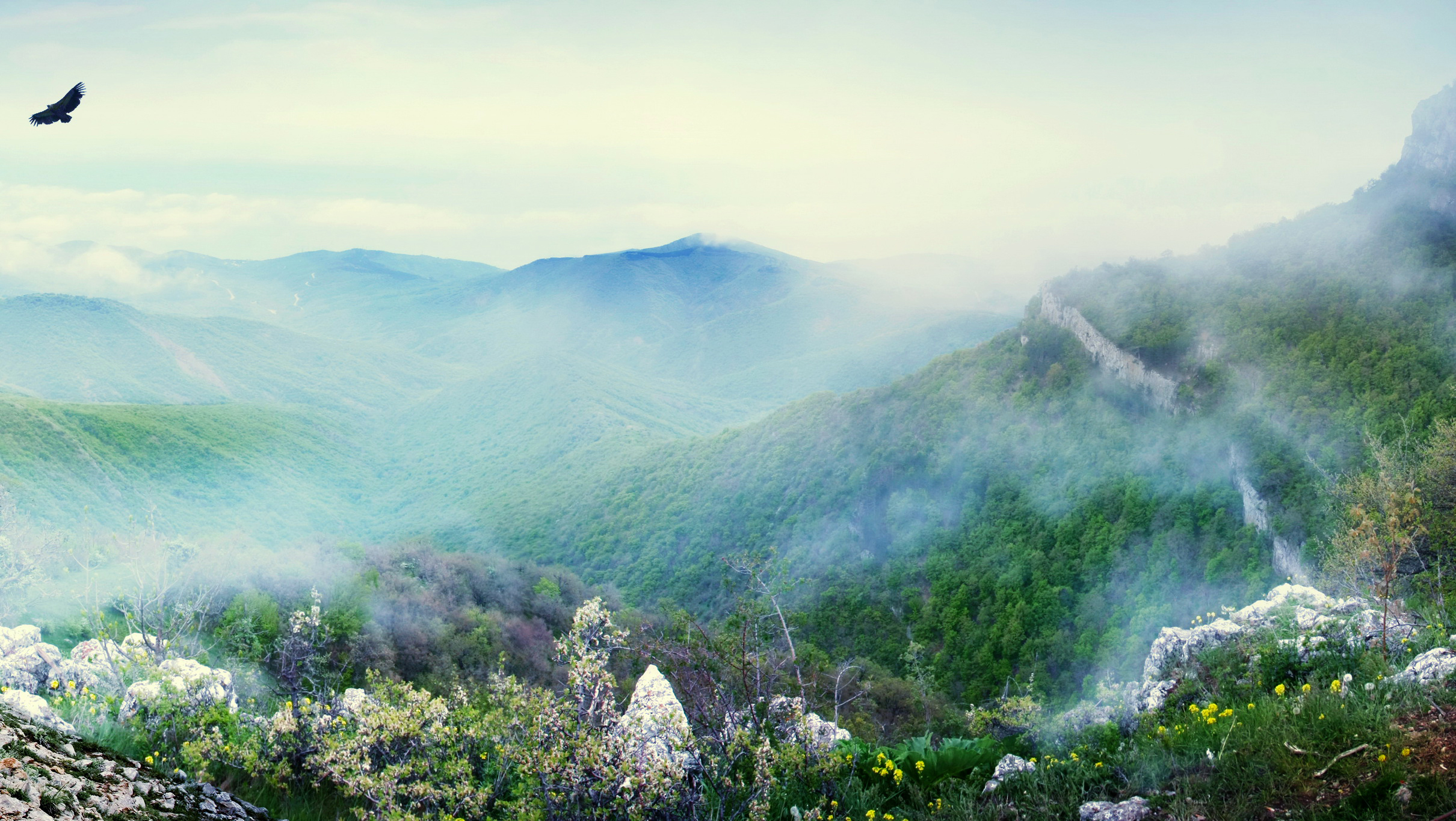 Скачать обои бесплатно Пейзаж, Природа, Гора, Туман, Земля/природа картинка на рабочий стол ПК