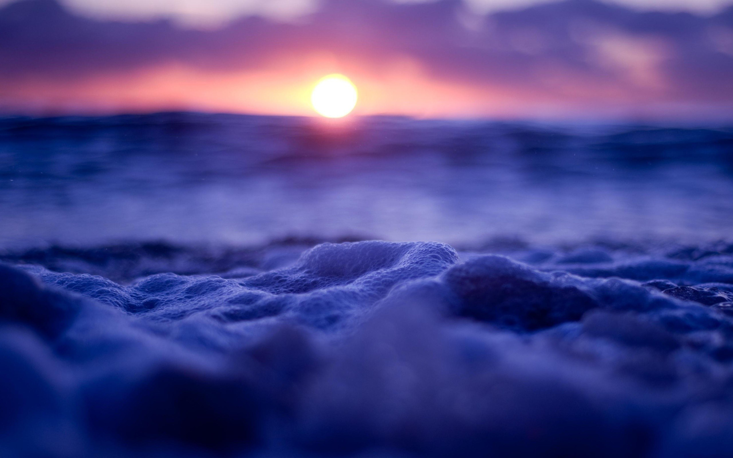 Téléchargez gratuitement l'image Coucher De Soleil, Océan, Mousse, Terre/nature sur le bureau de votre PC