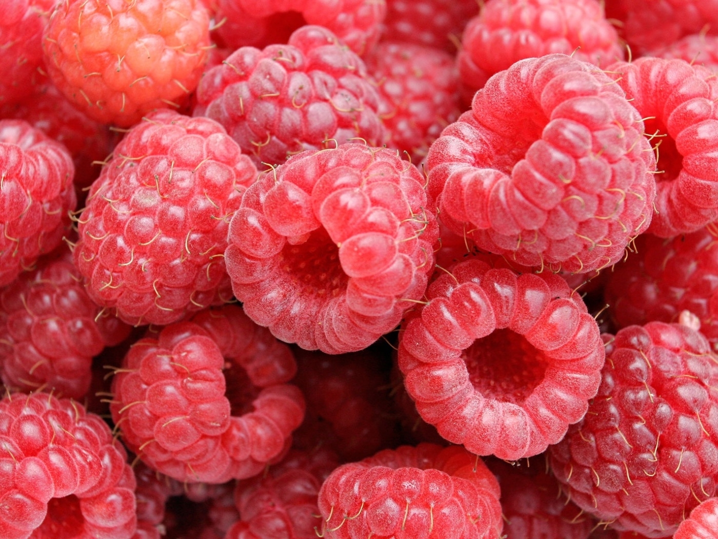 Free download wallpaper Food, Raspberry, Fruits on your PC desktop