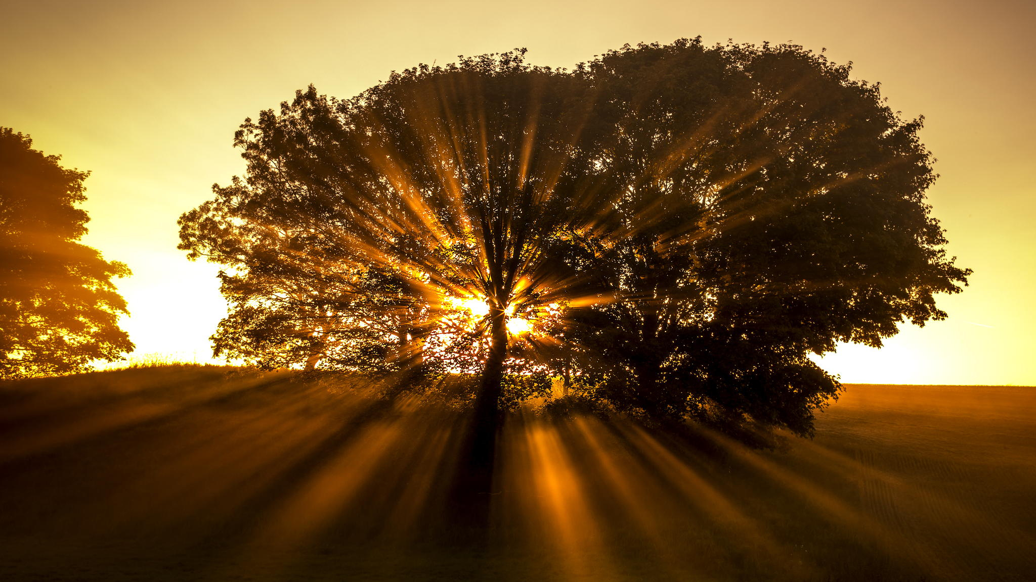 Free download wallpaper Nature, Tree, Earth, Sunbeam, Orange (Color) on your PC desktop