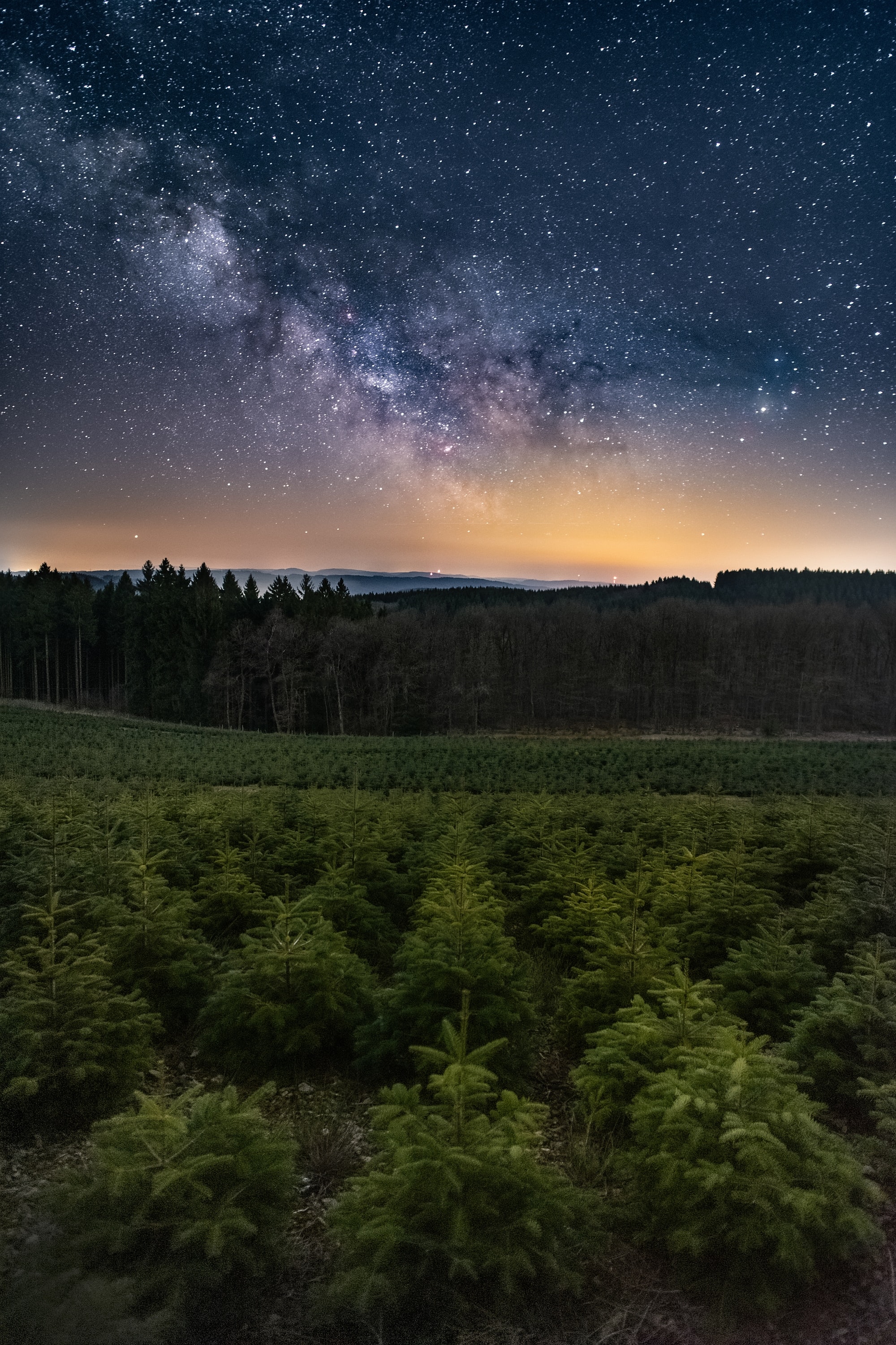 Download mobile wallpaper Trees, Forest, Nature, Starry Sky for free.