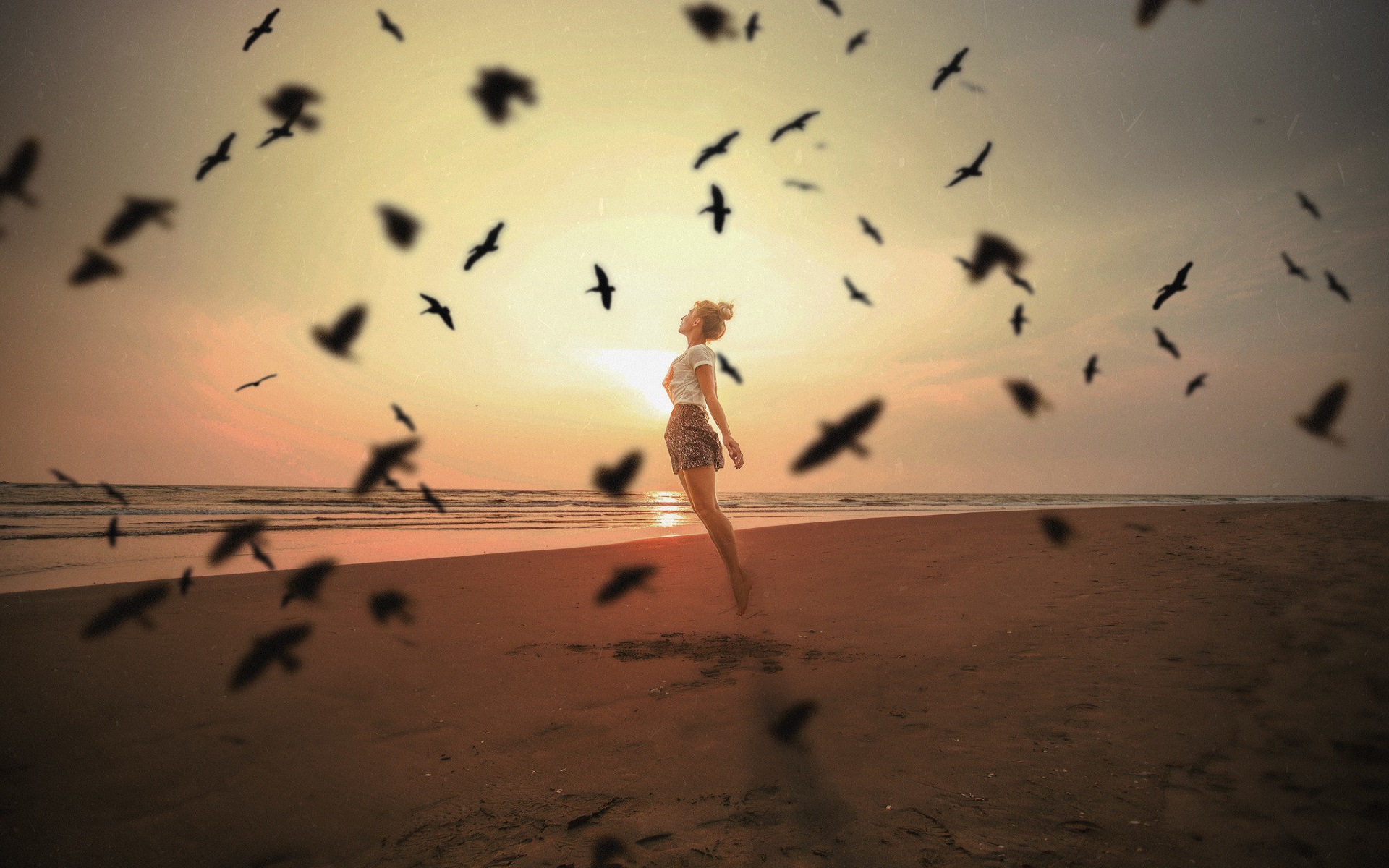 Free download wallpaper Sunset, Beach, Bird, Mood, Women on your PC desktop